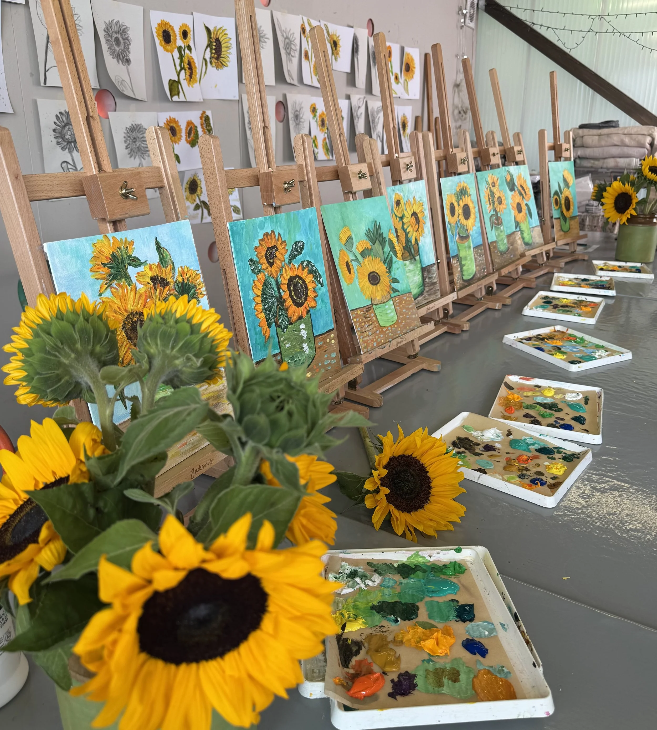A row of finished Van Gogh-inspired sunflower still life paintings on easels, each in a green vase, made by students at The Colour Factory workshop.