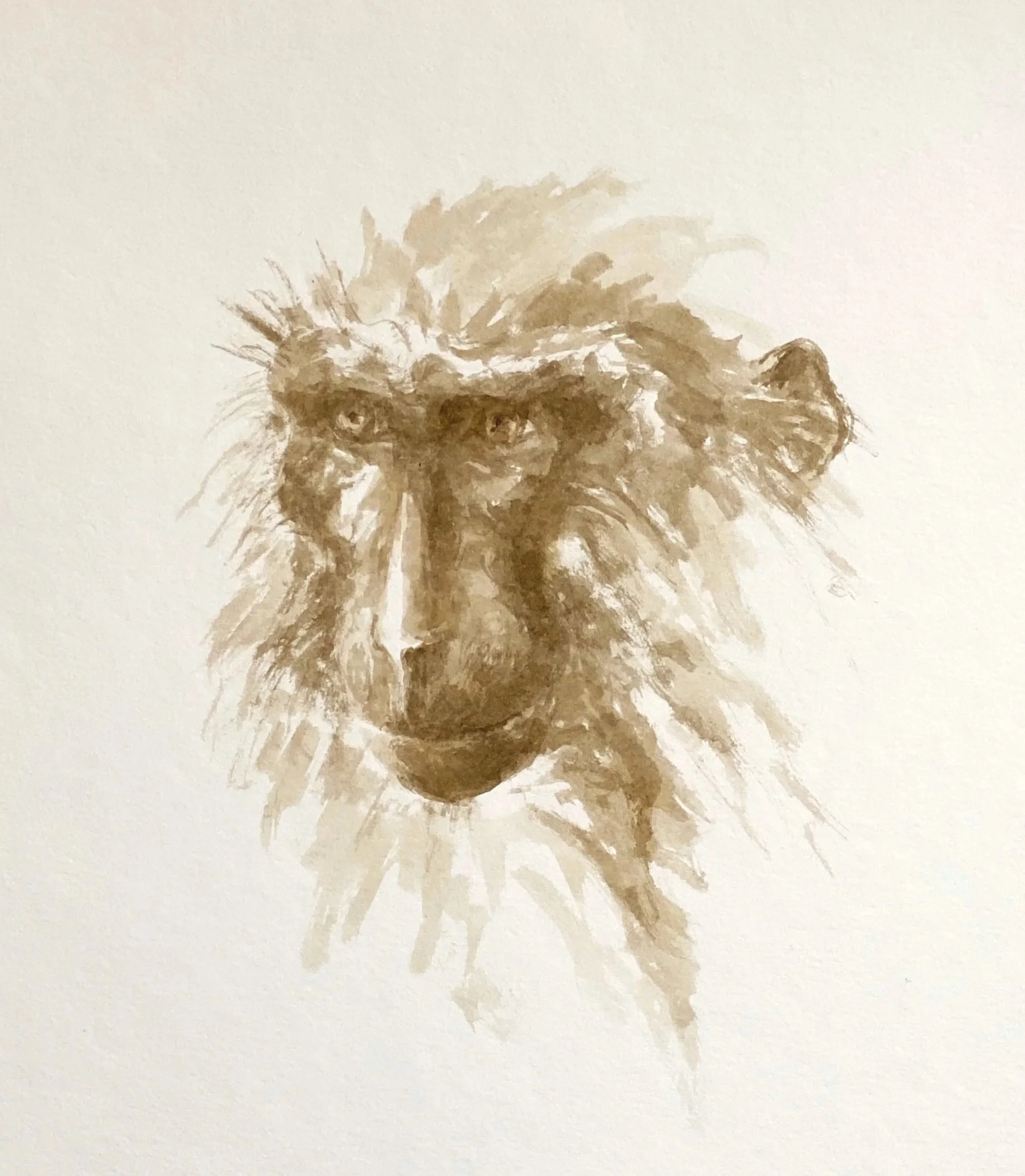 SINGERIE I ou le masque rieur - 2019, sepia ink, 20 x 20 cm - available 