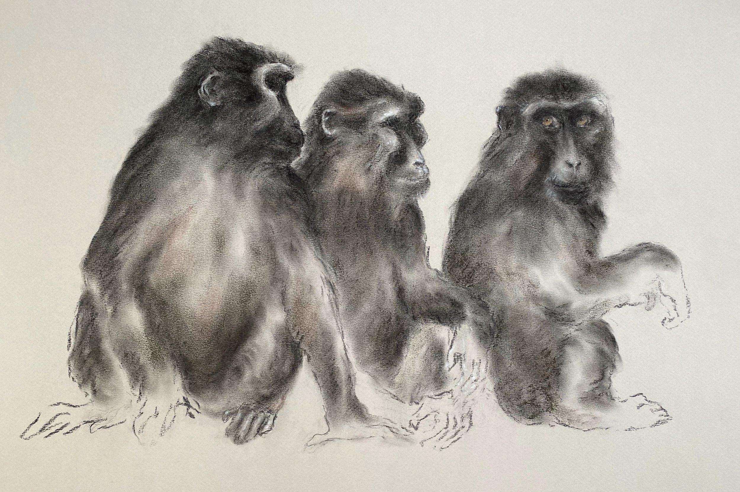 LES PIEDS nickelés - 2019, dry pastel on paper, 50 x 65 cm - private collection
