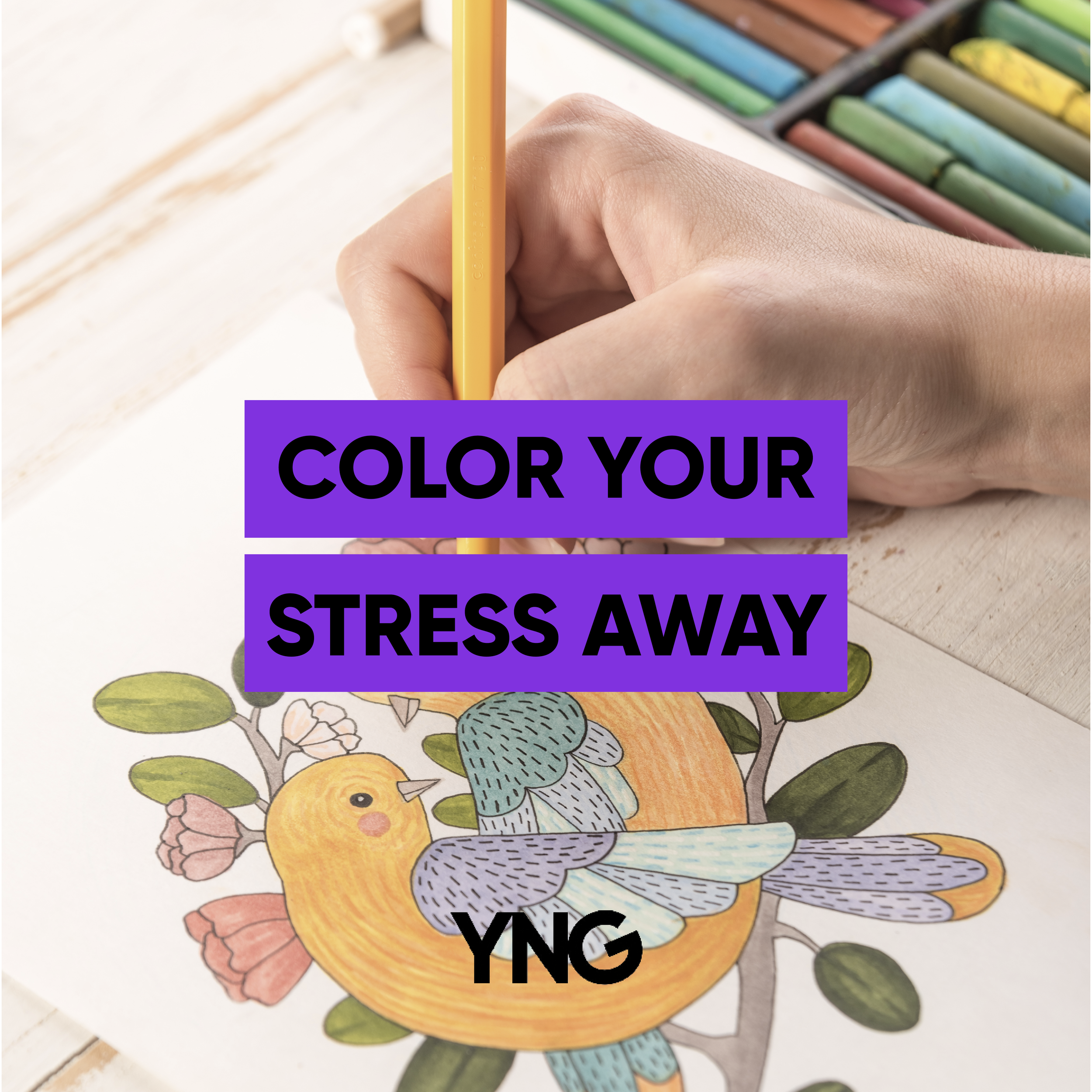 YNG social media-09.png