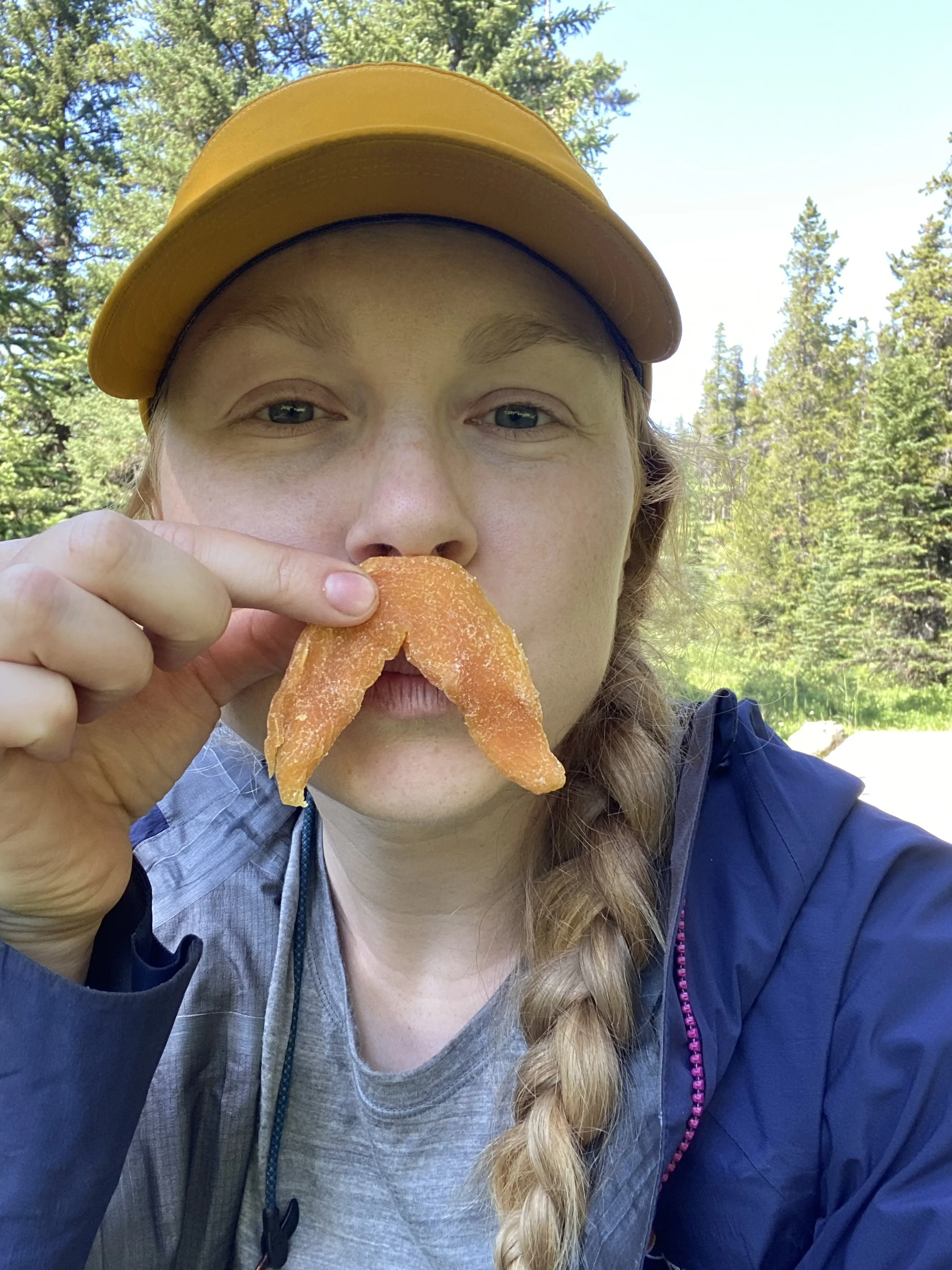 Great Divide Trail Section BIMG_6784.jpeg