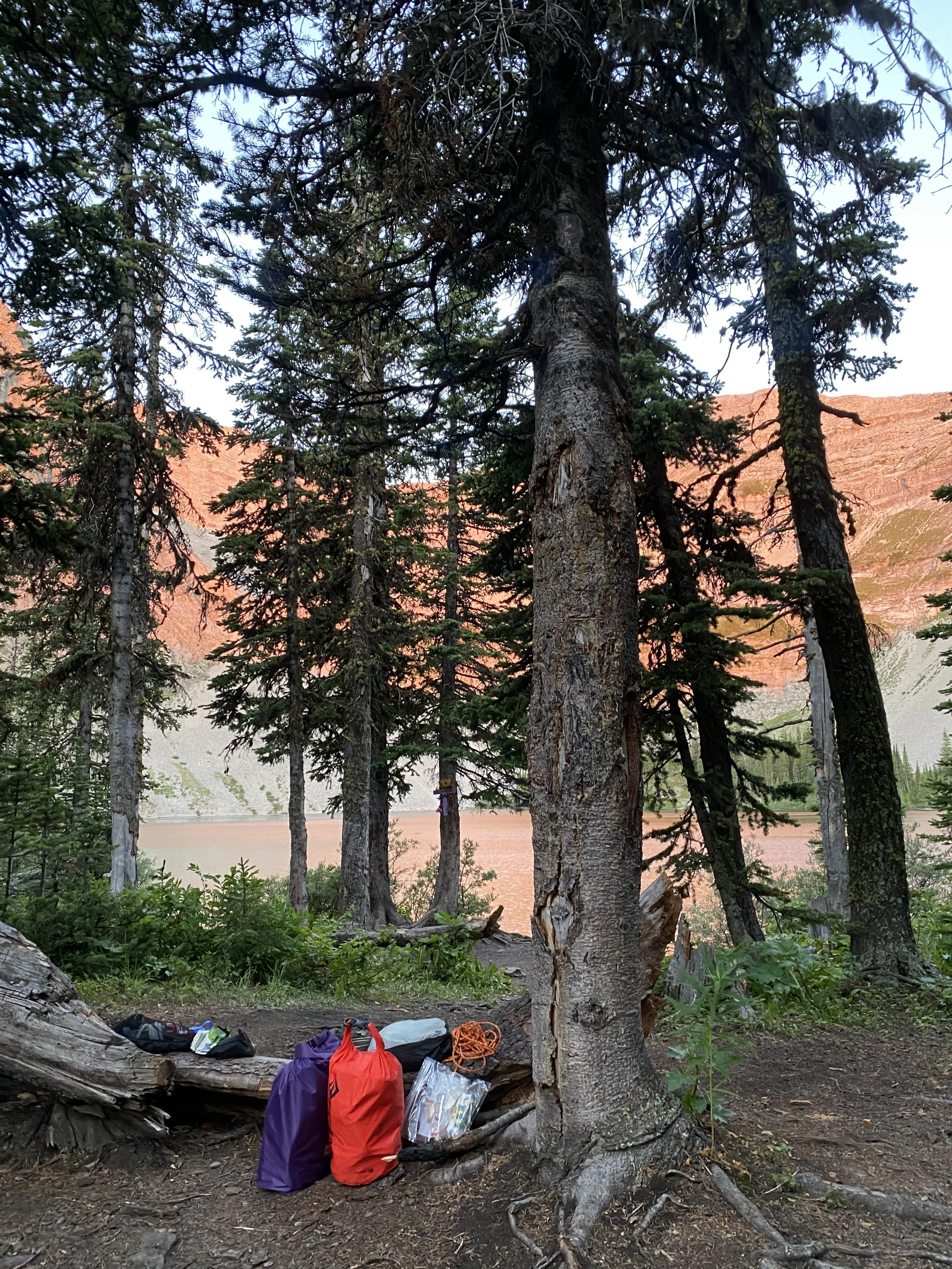 Great Divide Trail Section BIMG_6710.jpeg