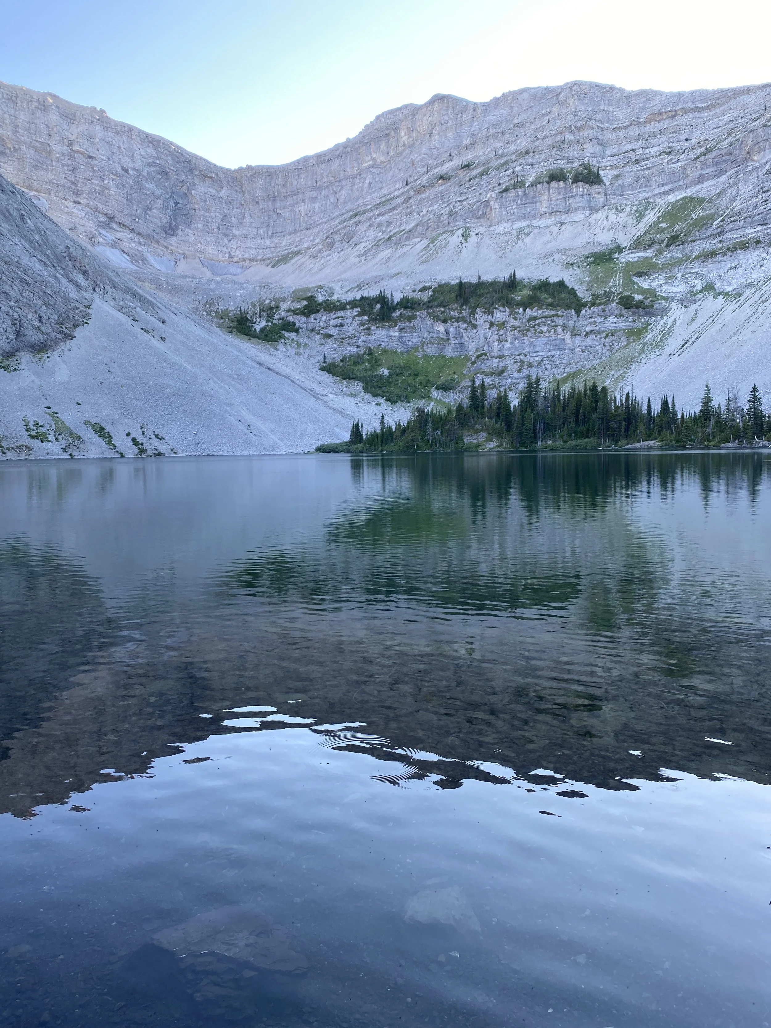 Great Divide Trail Section BIMG_6696.jpeg