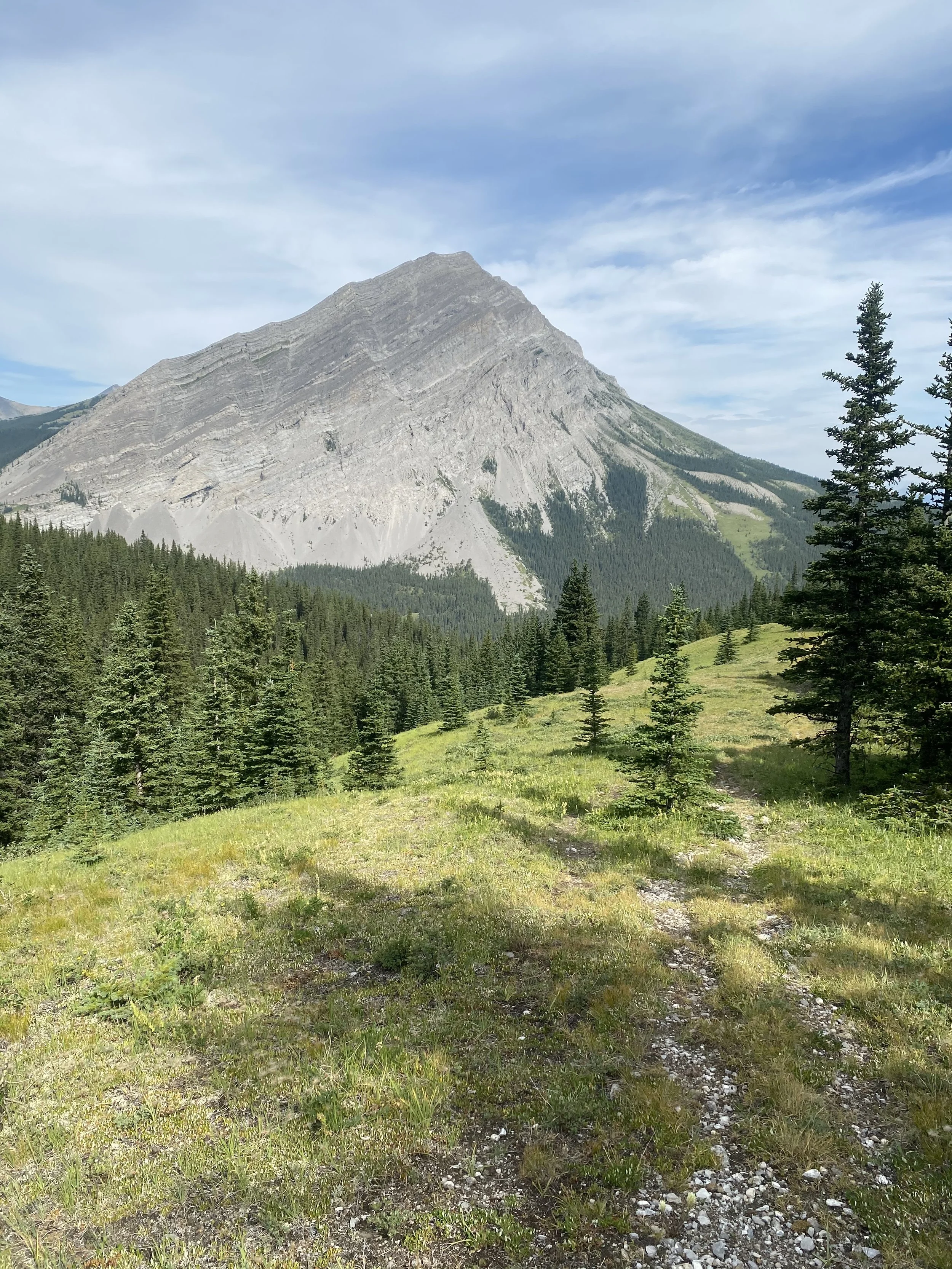 Great Divide Trail Section BIMG_6870.jpeg