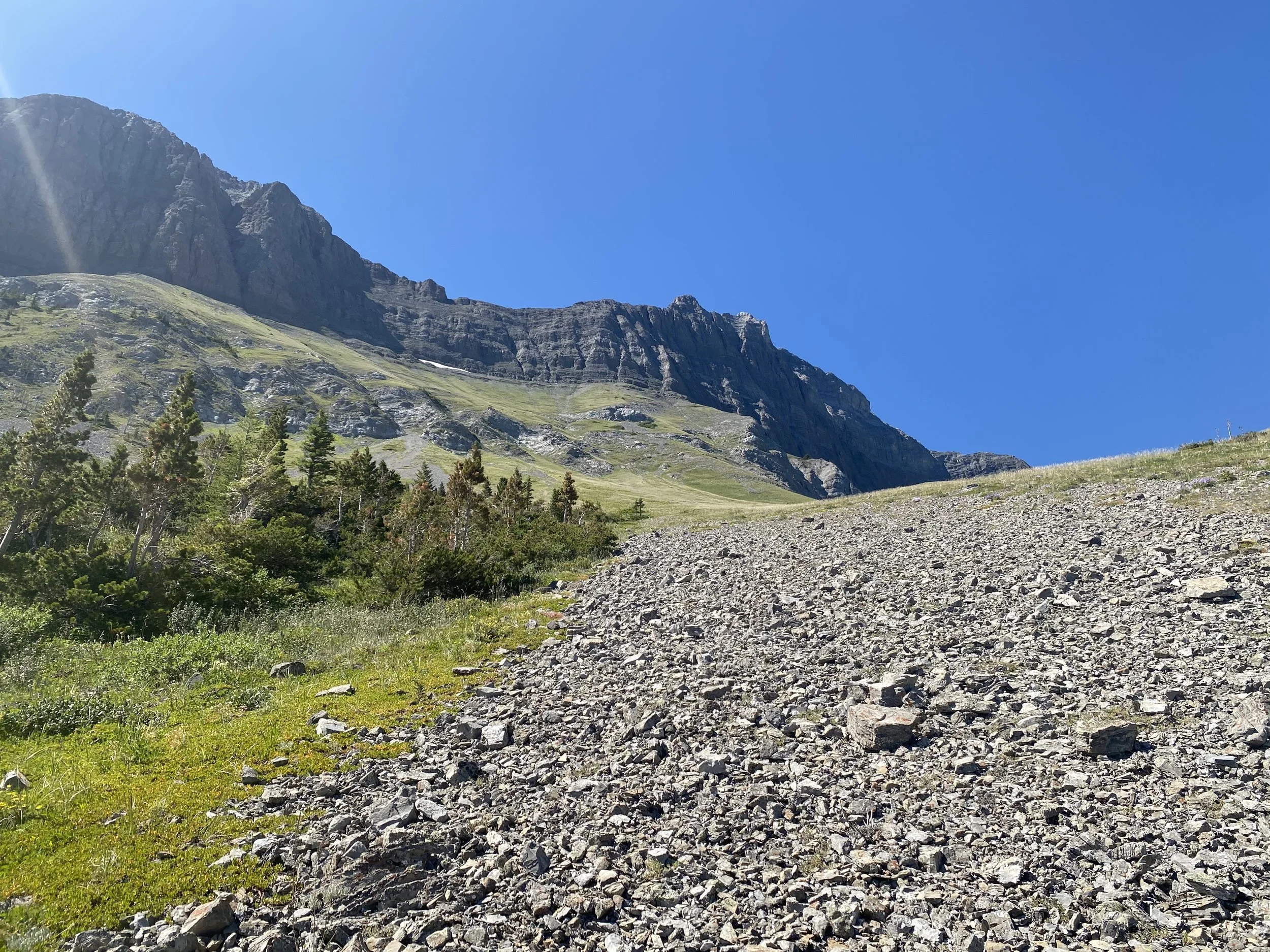 Great Divide Trail Section BIMG_6657.jpeg