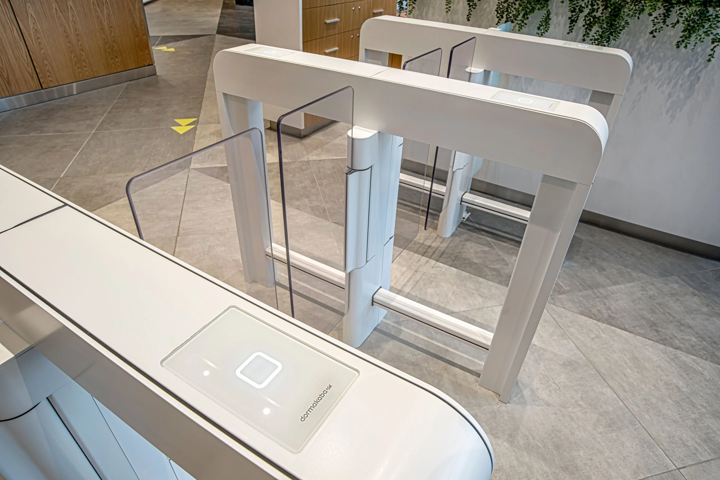 JANUA_couloirs_rapides.jpg