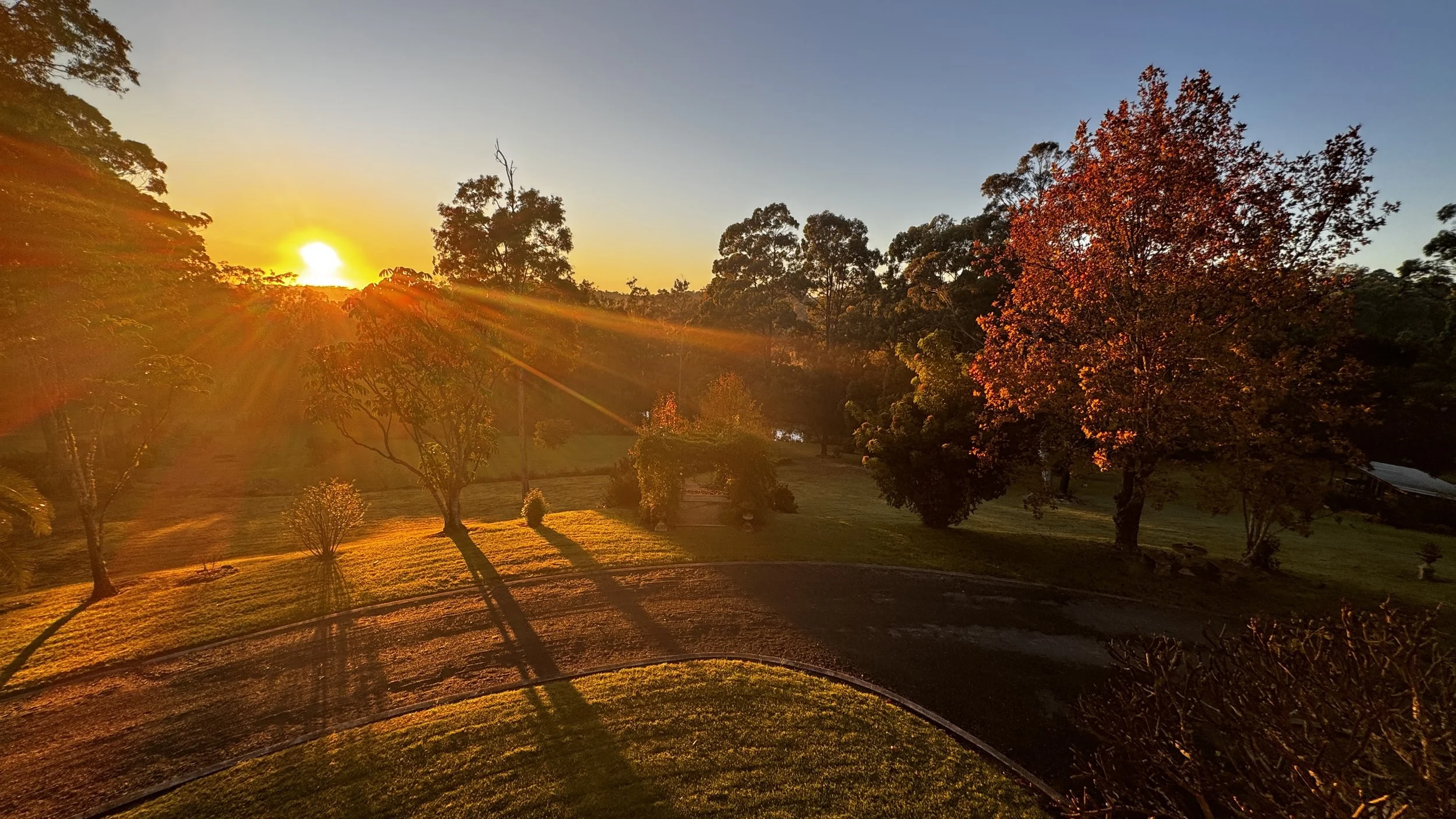 Top 5 Tips for Shooting Golden Hour. When the World Slows, Softens, and Glows