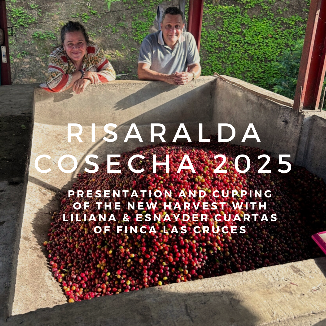 Risaralda Cosecha 2025 Tasting 