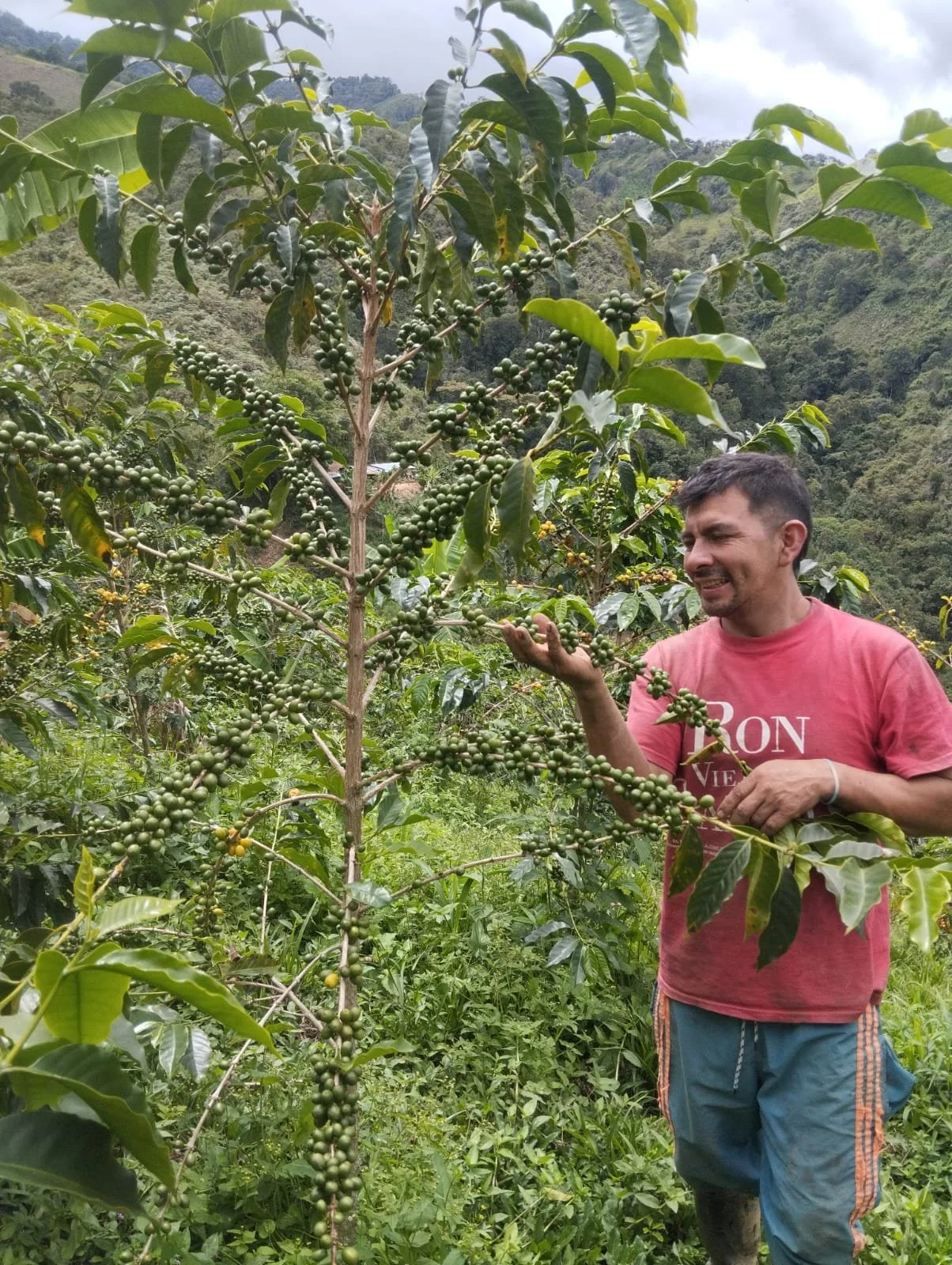 shared image (2) copy 2.jpeg