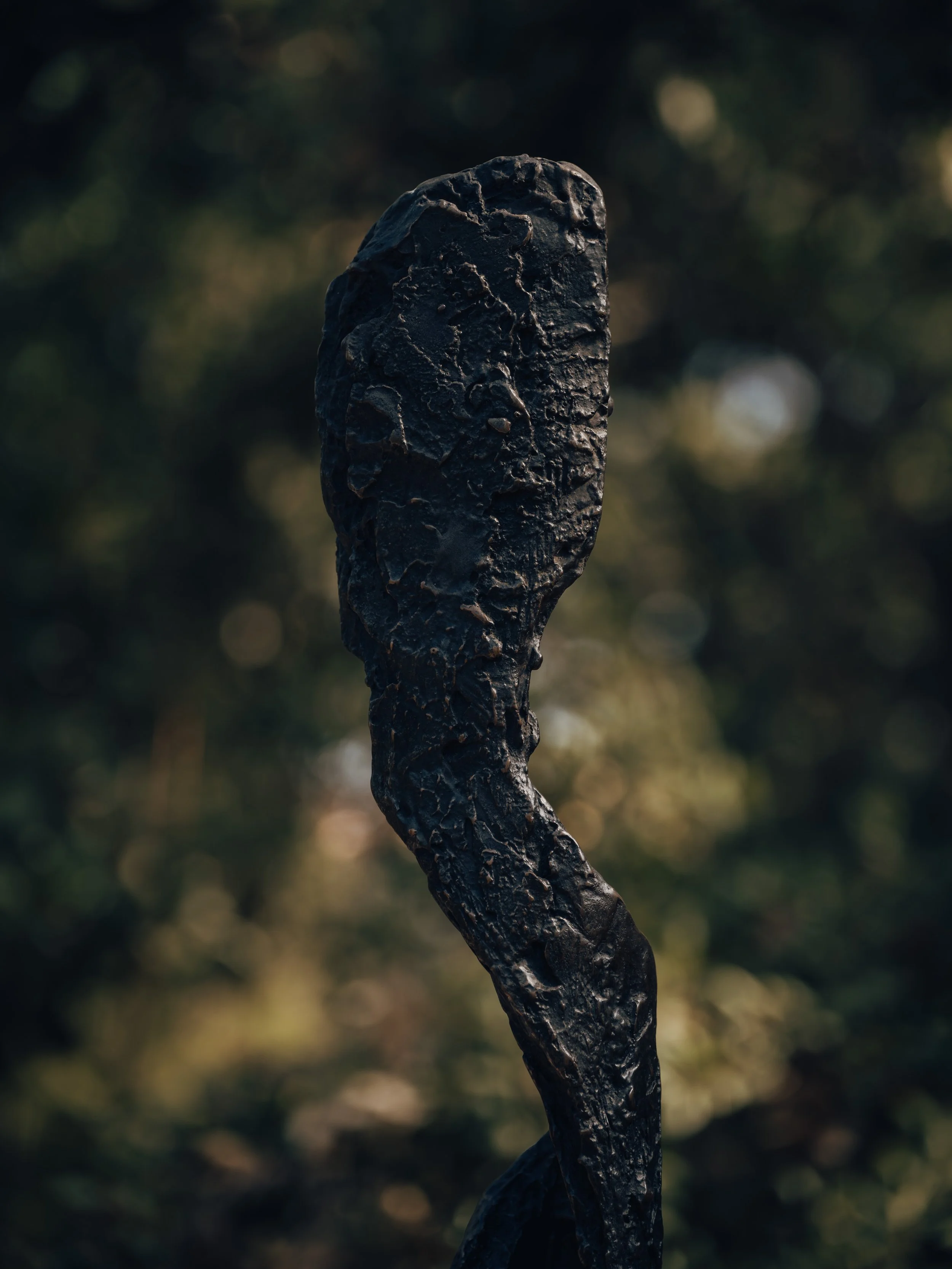 GalerieLucasRatton-DinaVierny-SaintTropez2026-photo©EdouardAuffray-31.jpg