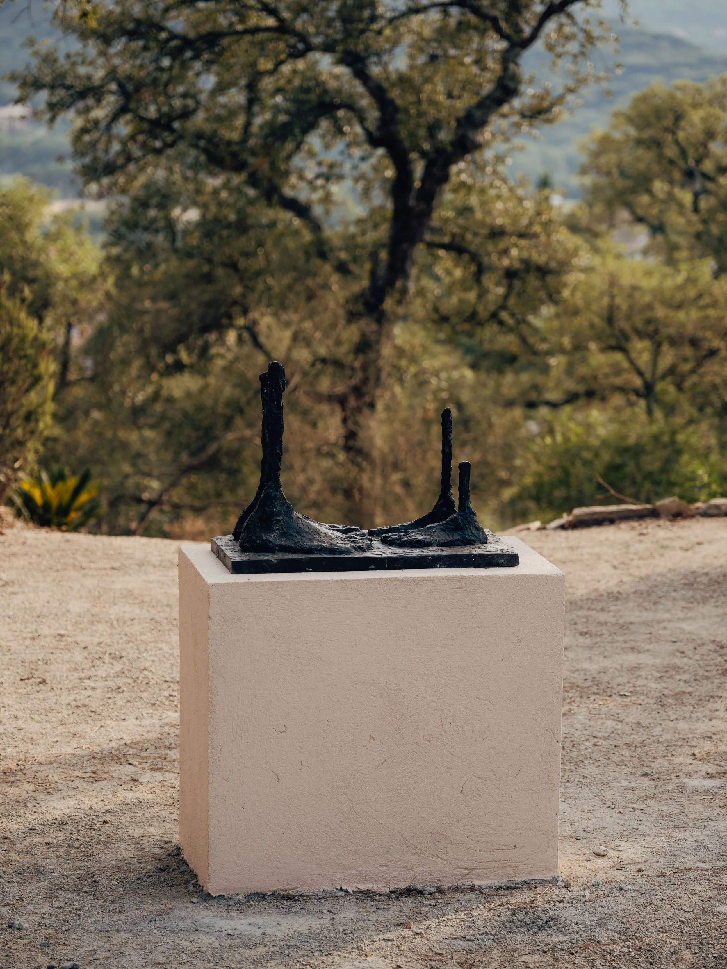 GalerieLucasRatton-DinaVierny-SaintTropez2026-photo©EdouardAuffray-67.jpg