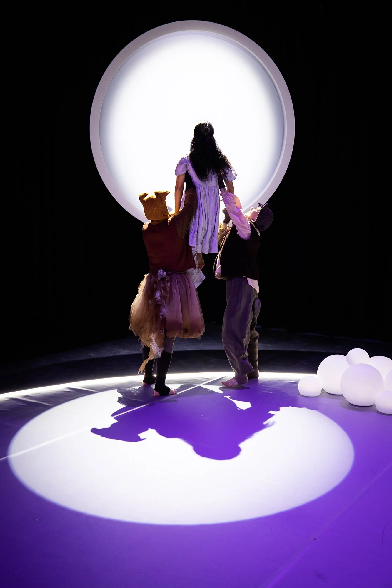 Photo of Moonlight Dream