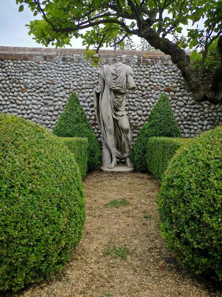 Togatus Norfolk .JPG