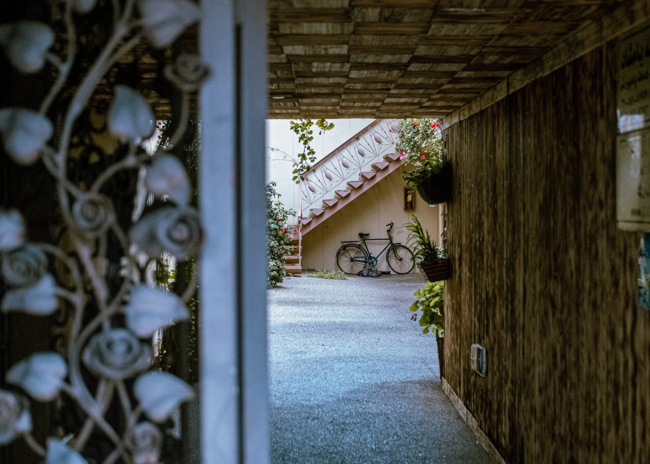 DSCF4340.jpg