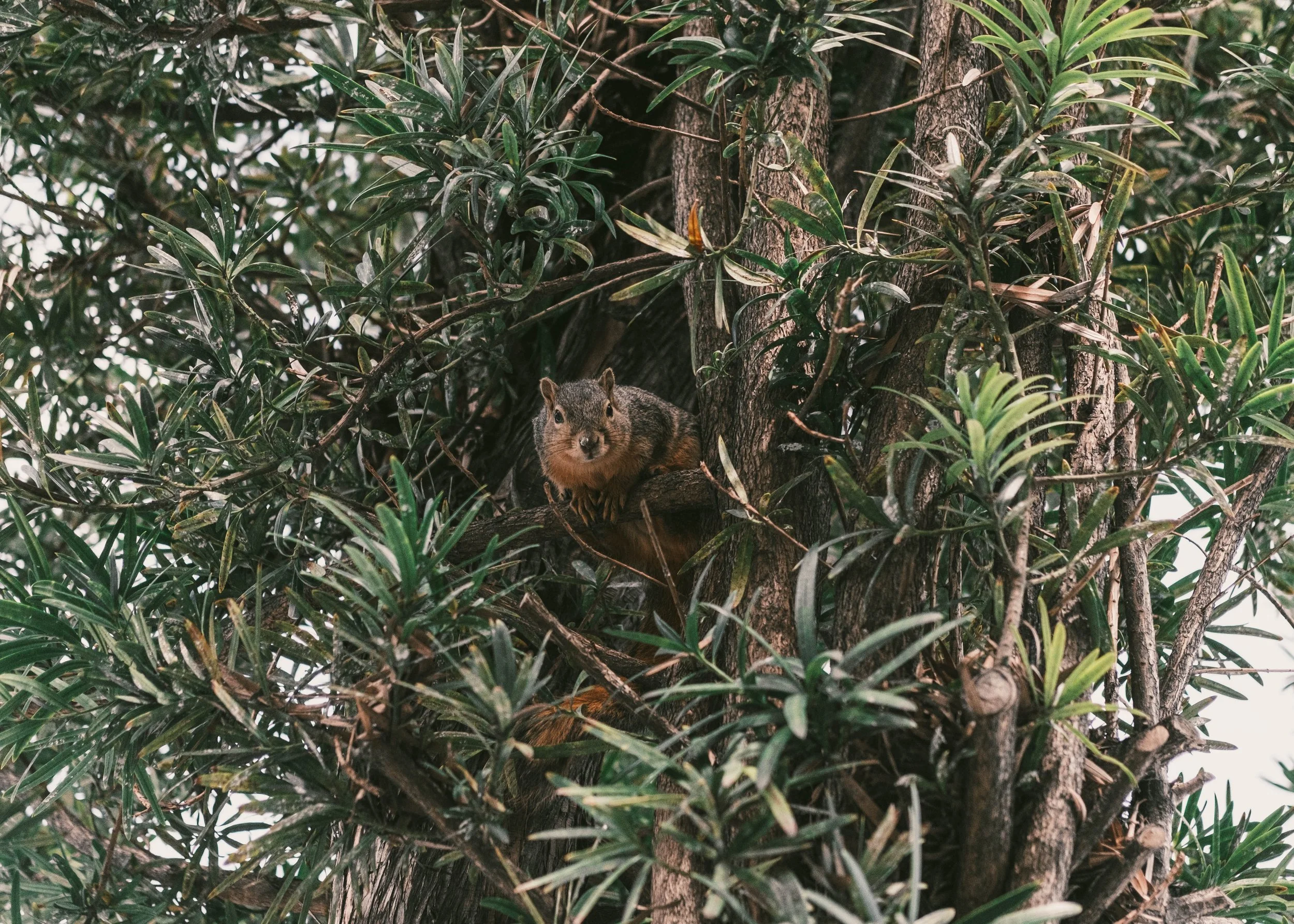 DSCF4418.jpg