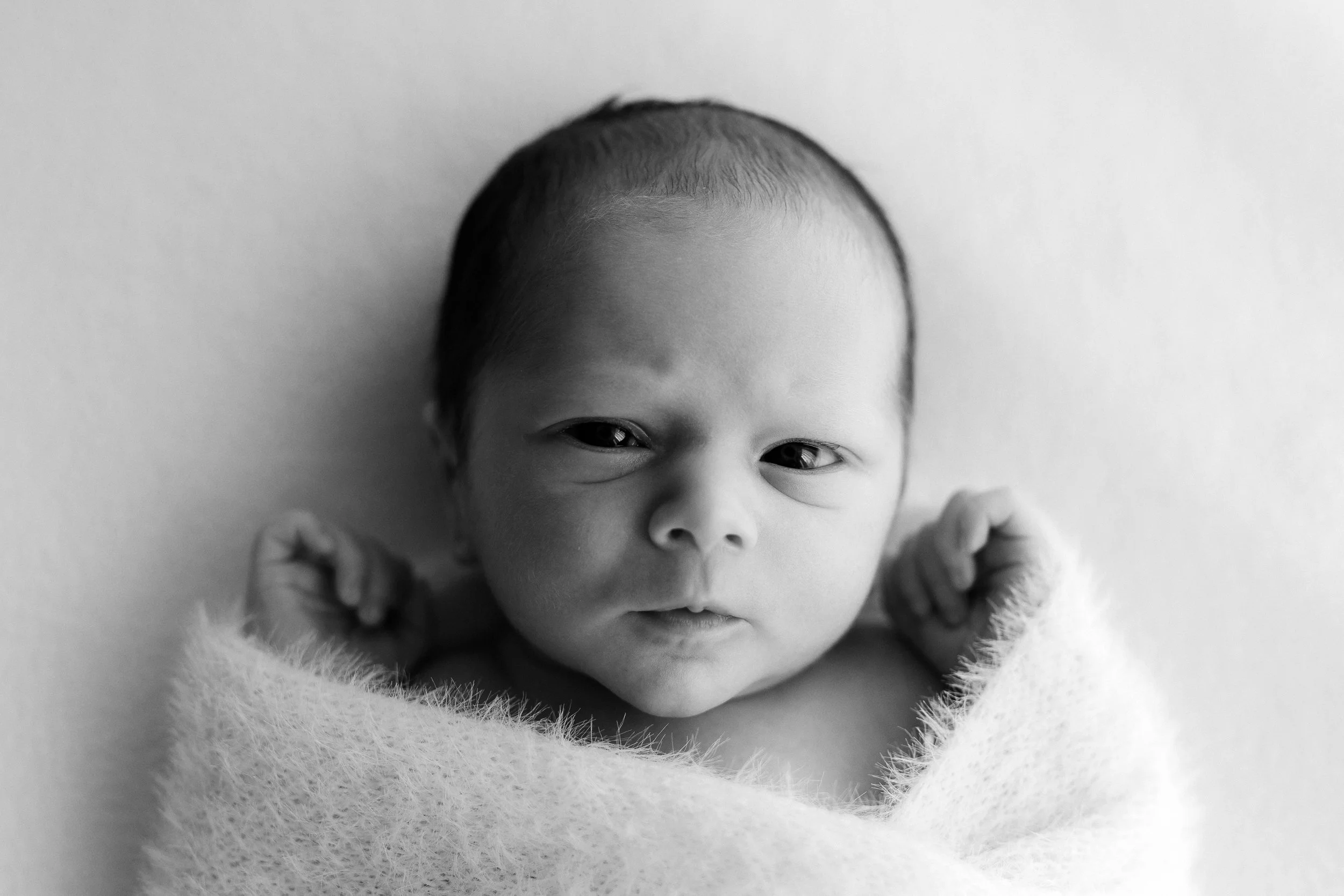Jaxon003B&W.jpg