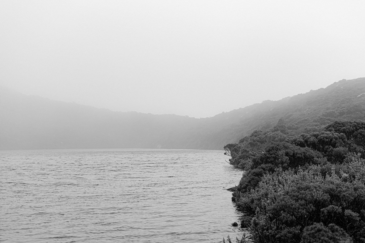 Jeremy Cent Photography Mt Field National Park Misty Lake.jpg