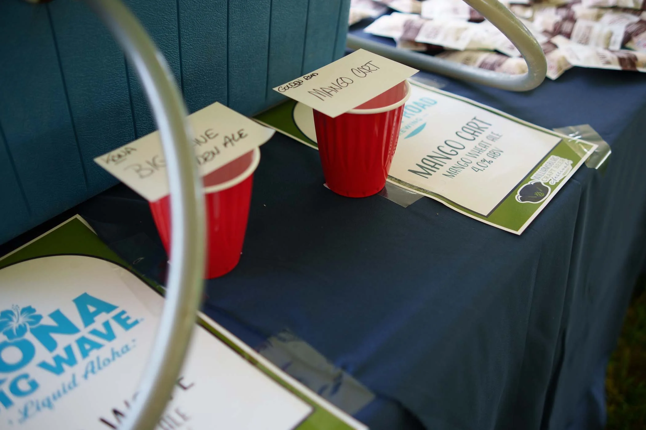 2025-williamsburg-craft-beer-festival-032.jpg