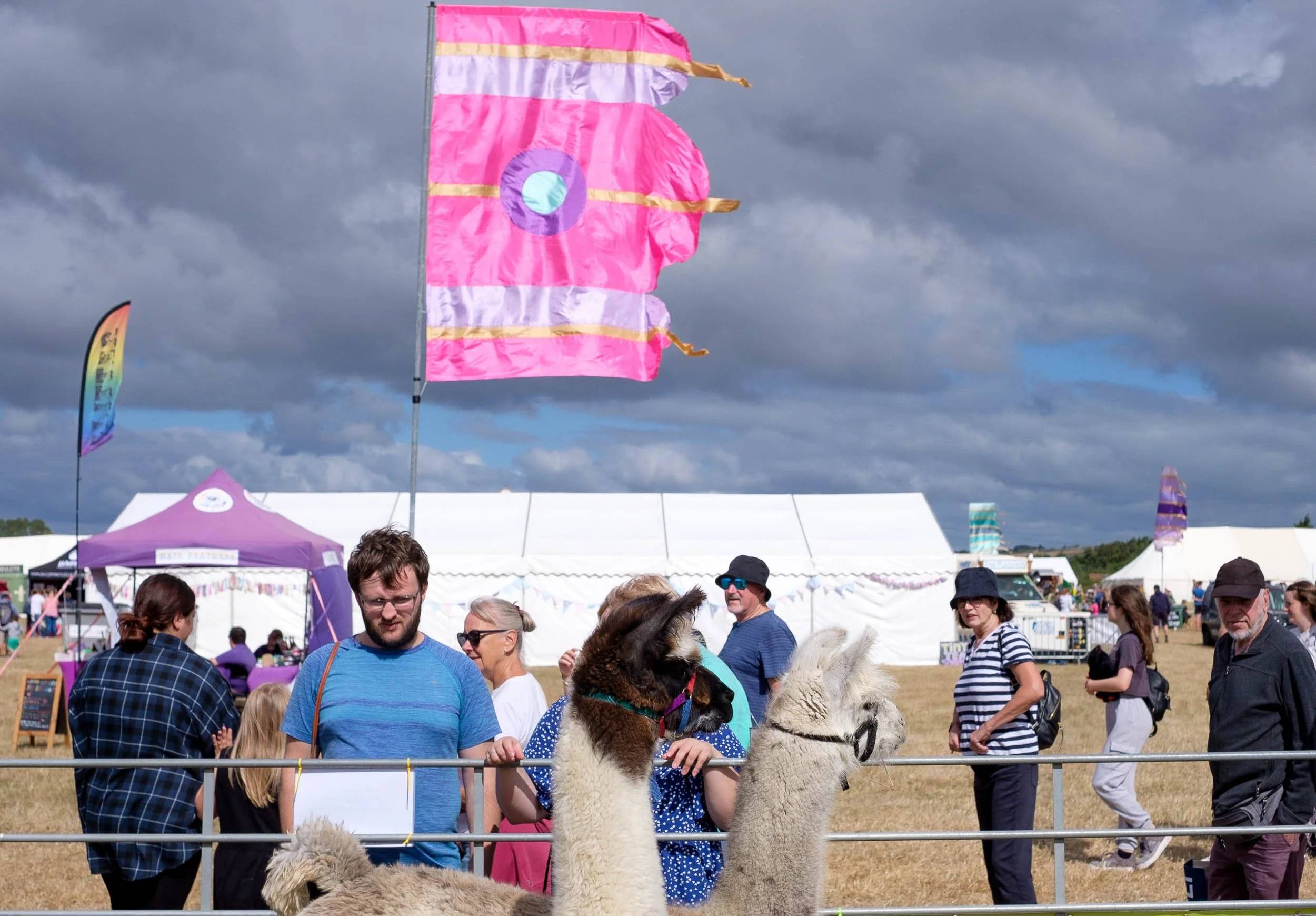 Garlic Festival Eat, drink, STINK! — Life on the Isle of Wight