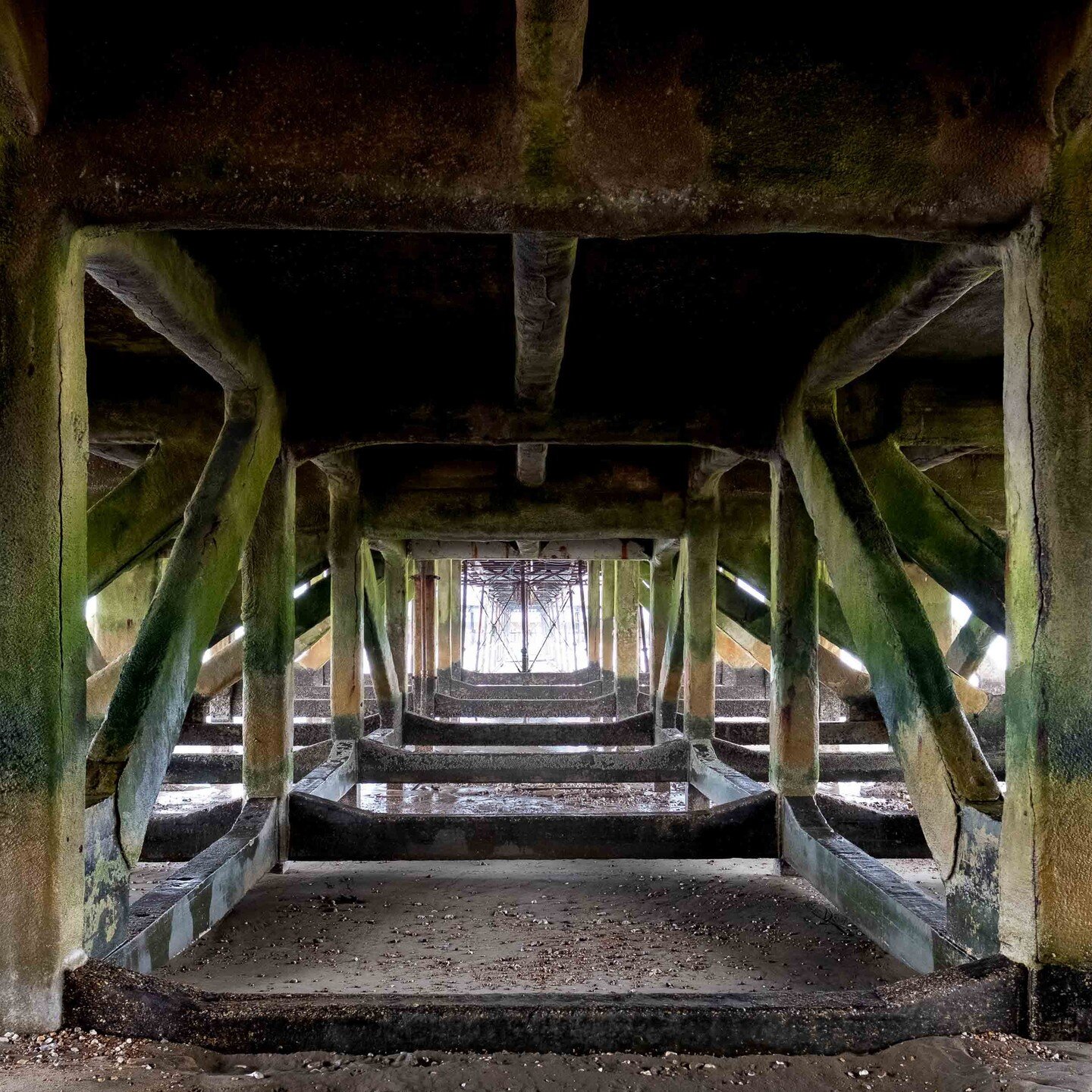 Under the Pier

How about going under it for a change?' she said as we passed the pier.
We often walk past it. Sometimes we go inside to spend a few pennies on the rides or the slot machines. But we had never been under the huge structure to see the 