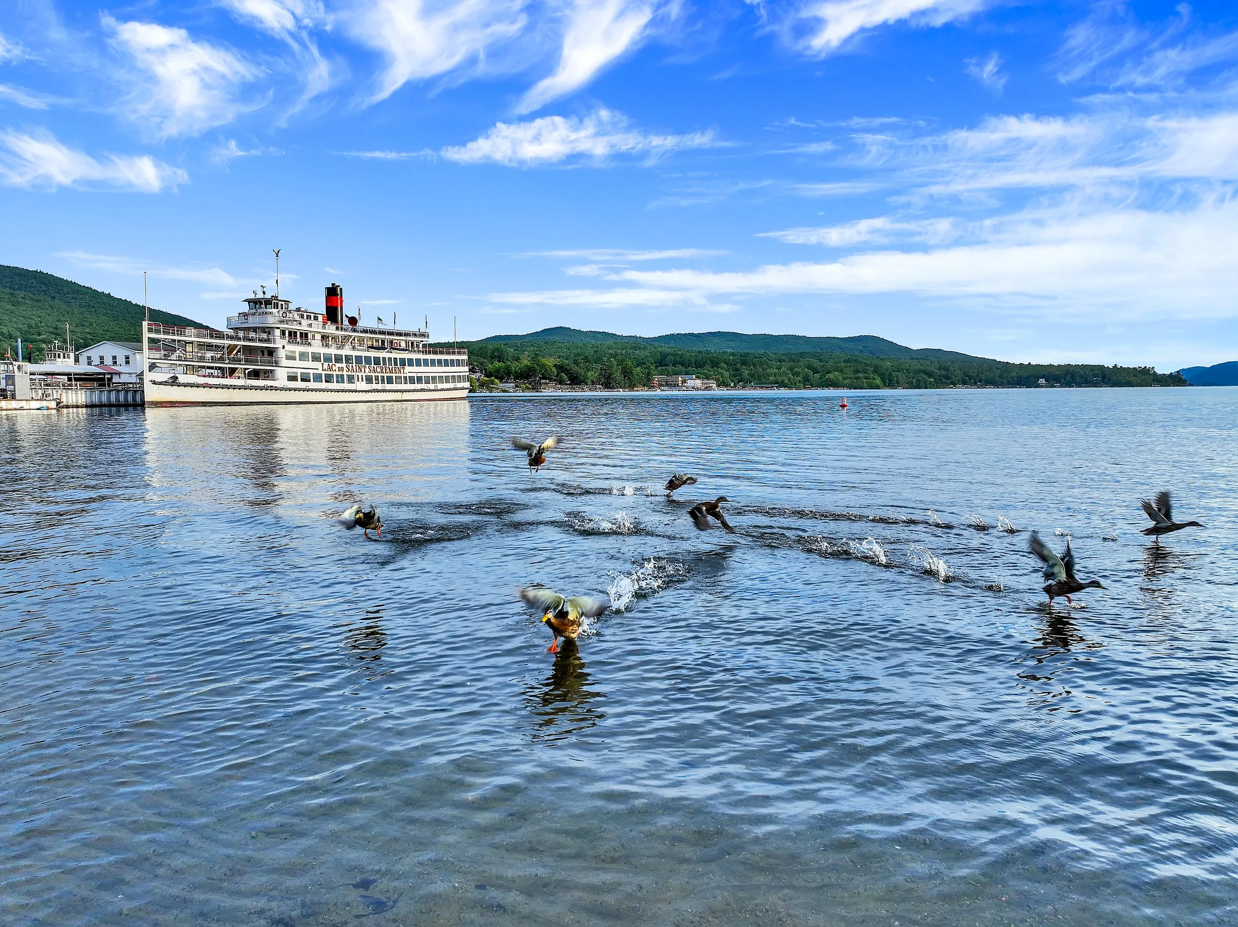 DJI_0659.jpg