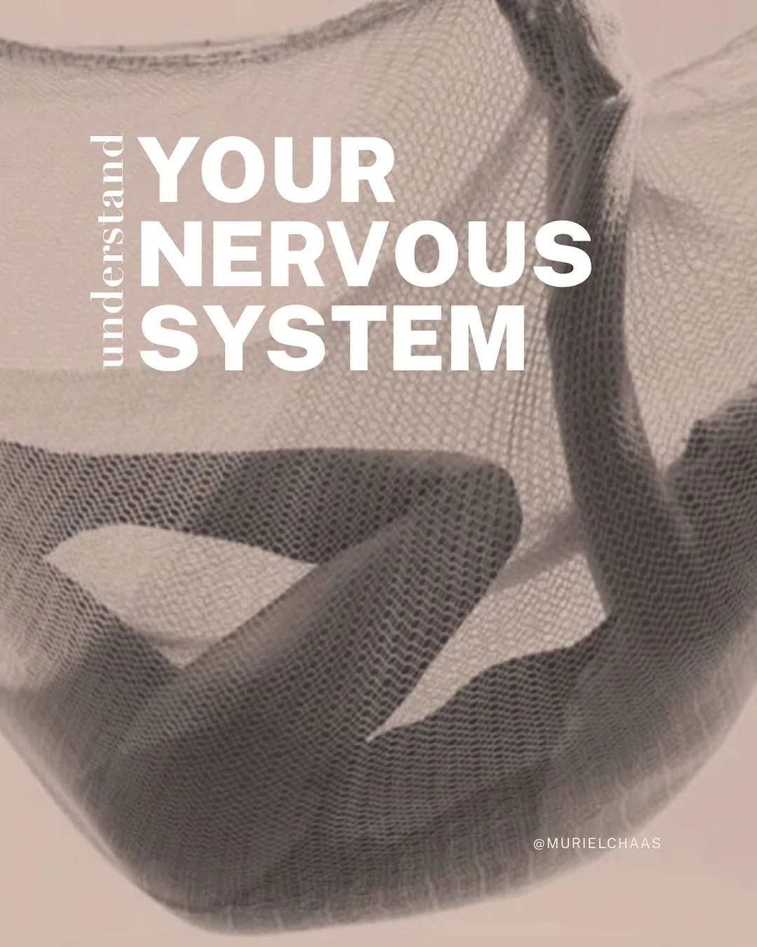 The game changes when you understand your nervous system. To understand why certain symptoms show up, how trauma is processed in your system (or not), why you react the way you do, changes everything. It takes you from feeling powerless and at the me