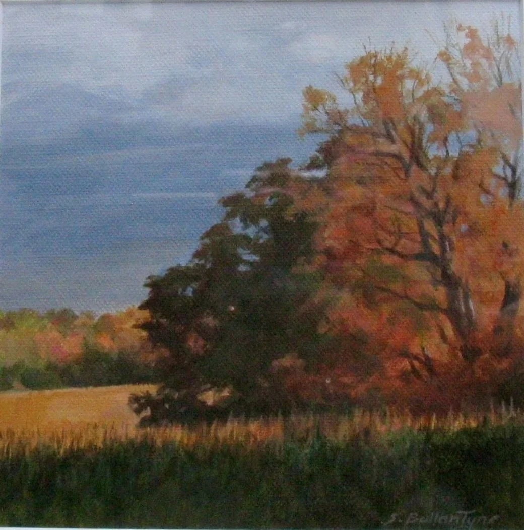 Image 9.jpeg
