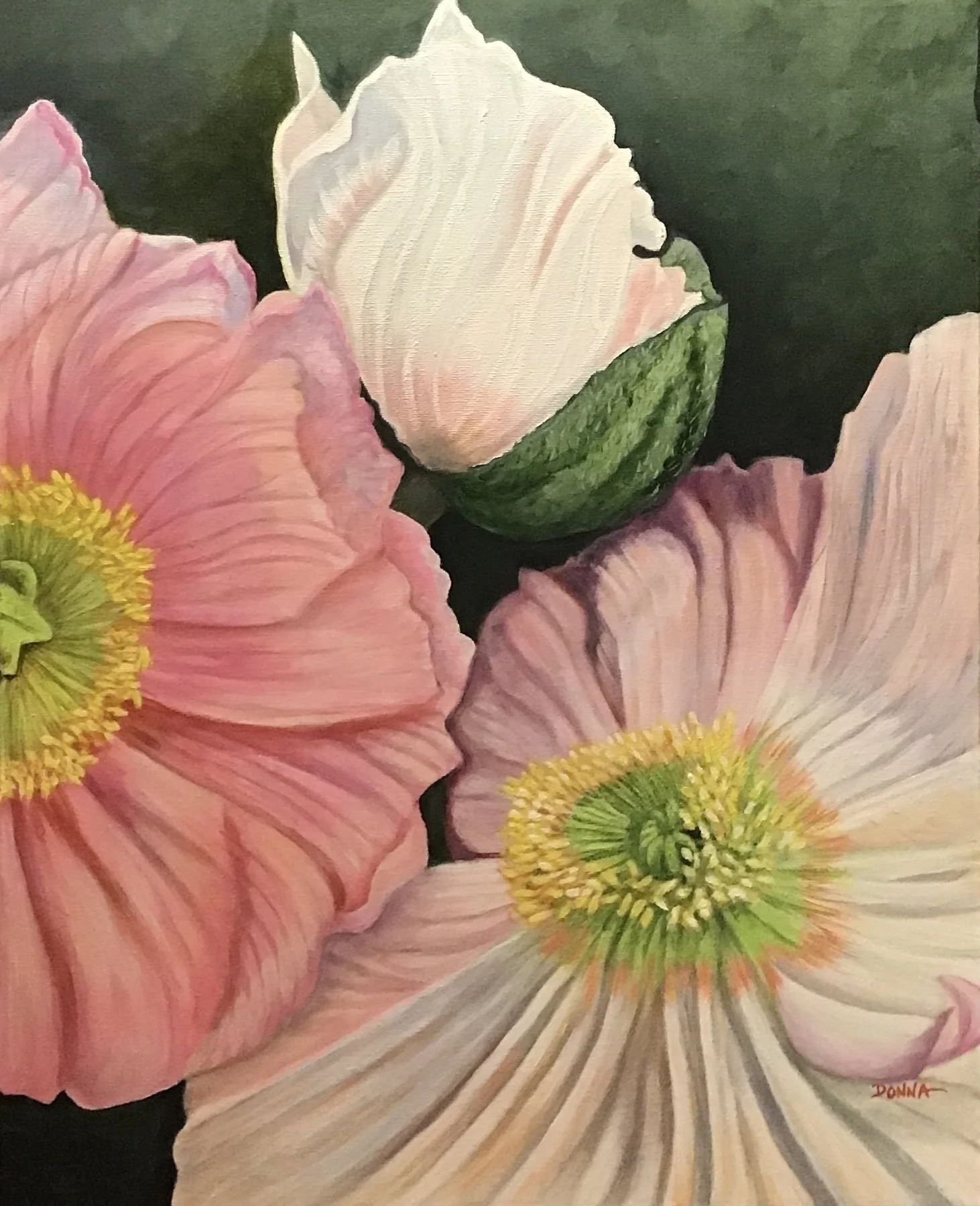 Donna McPhail, painter  |  Donna is an artist with a background in textile design. She got her BFA in fine art and art education from Nova Scotia College of Art and Design in Halifax and spent the next 30 years teaching high school art. After retirem