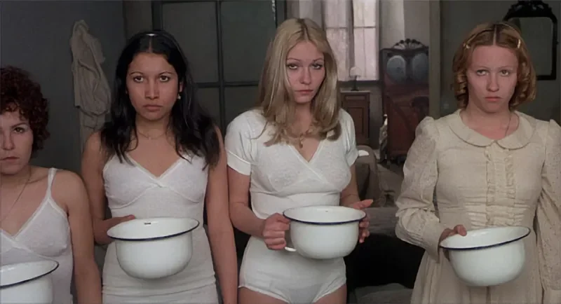 polyesterzine polyestermagazine polyester magazine zine katy cutbirth horror dracula 120 days of sodom salo the hunger