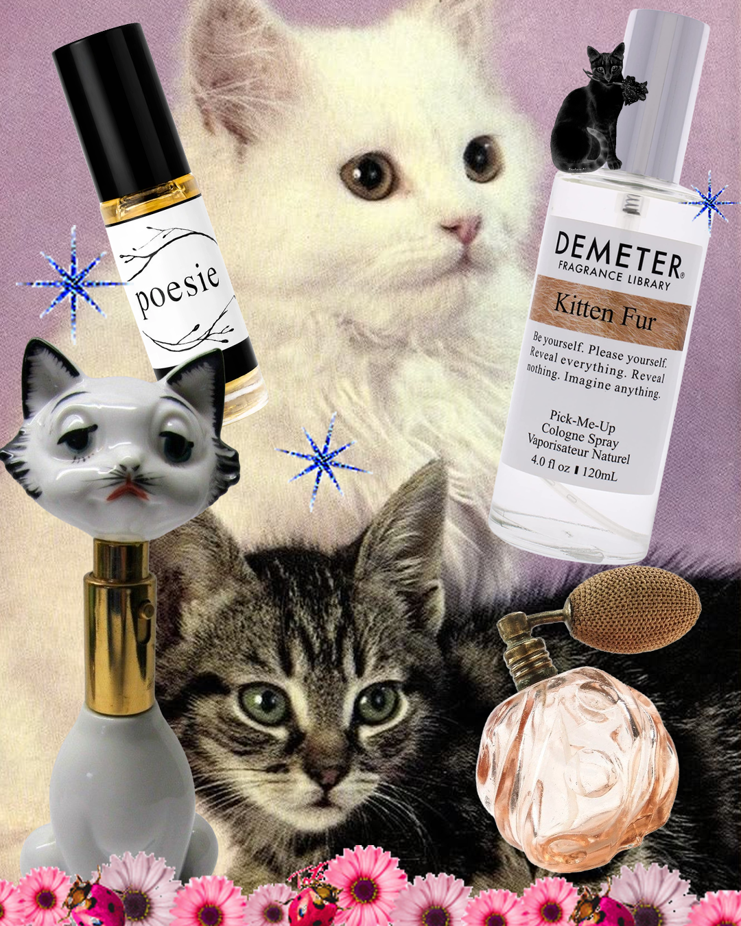 polyester zine magazine polyesterzine polyestermagazine perfume scent nostos calico pas de chat kitten perfumes cat fur smell why do cats smell so good