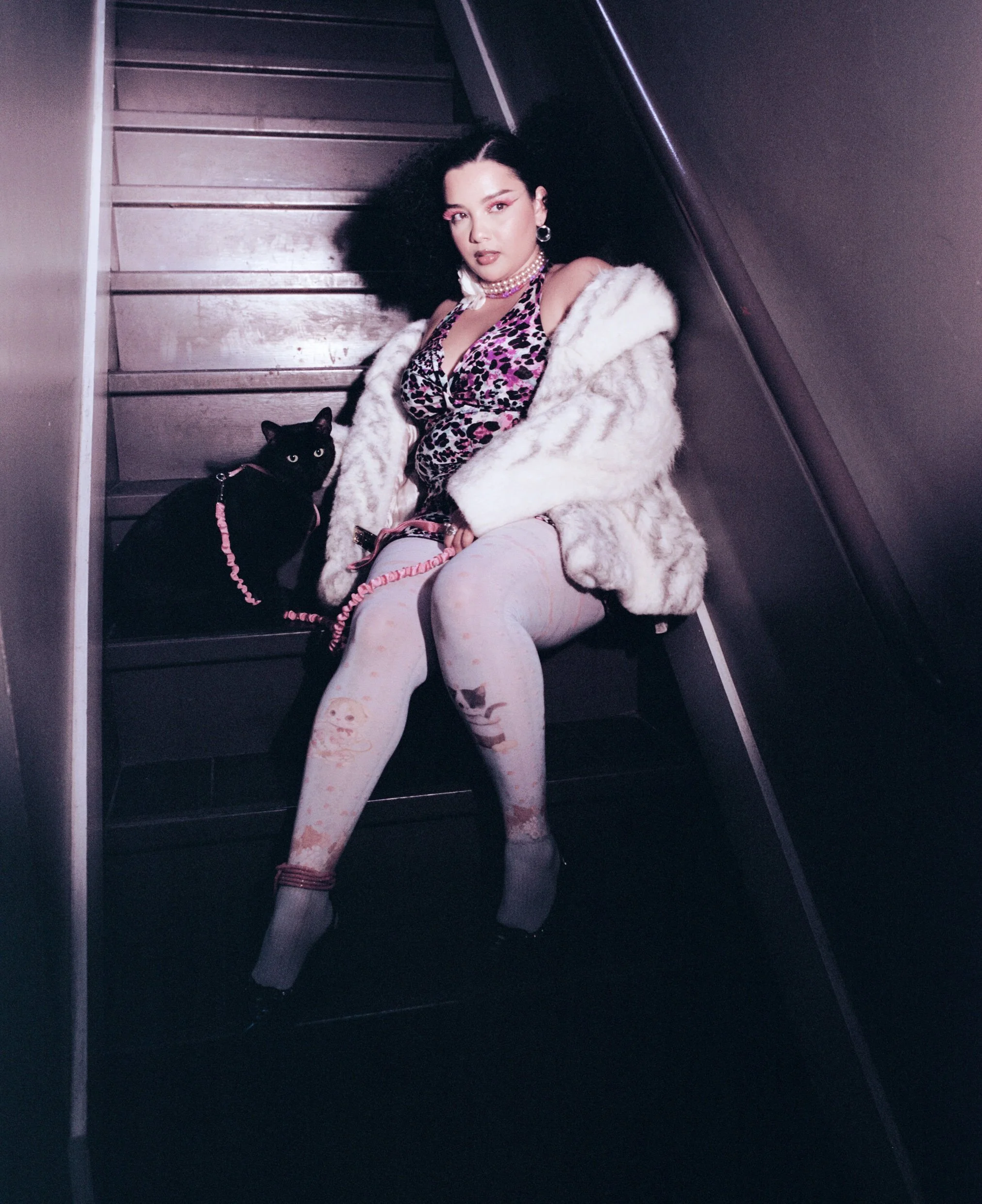 Michelladonna on New York City, Immigrant Communities and Shop Cats
