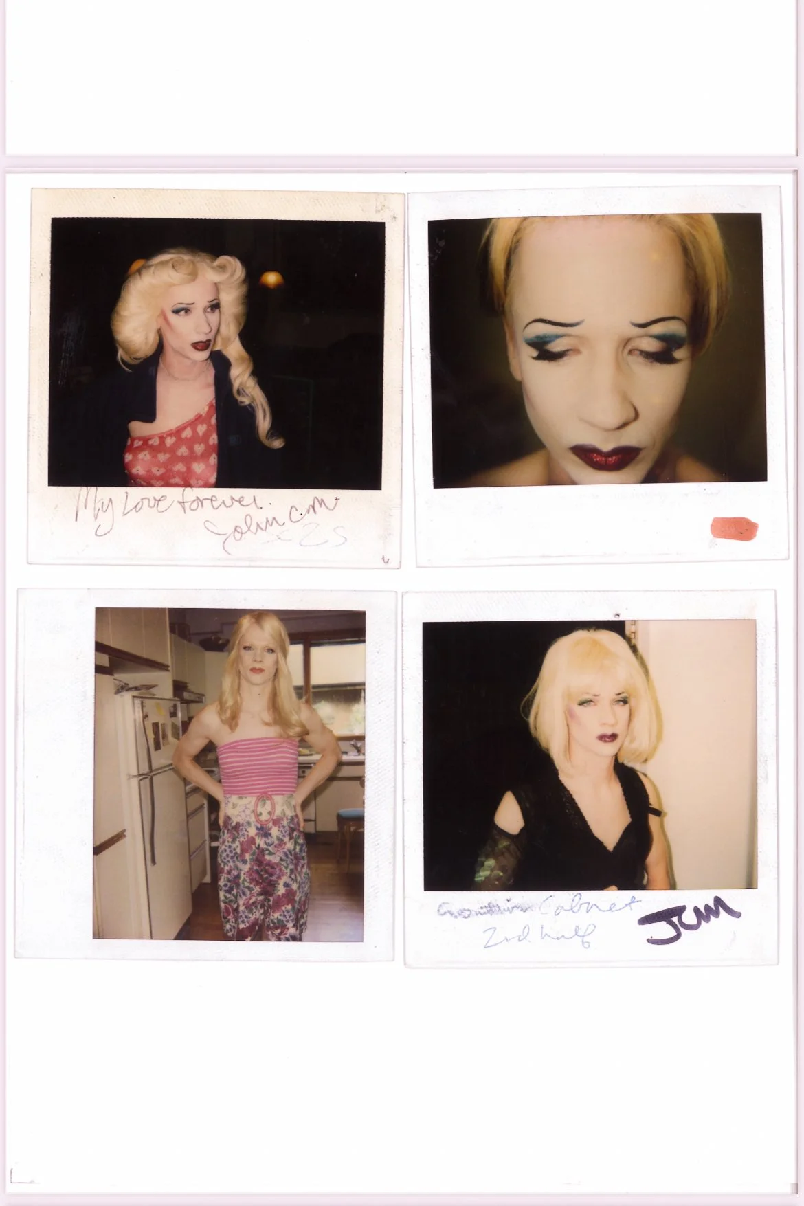 hedwig and the angry inch john cameron mitchell mike potter charlie h stern film musical iconic cult movie polyesterzine polyester zine magazine
