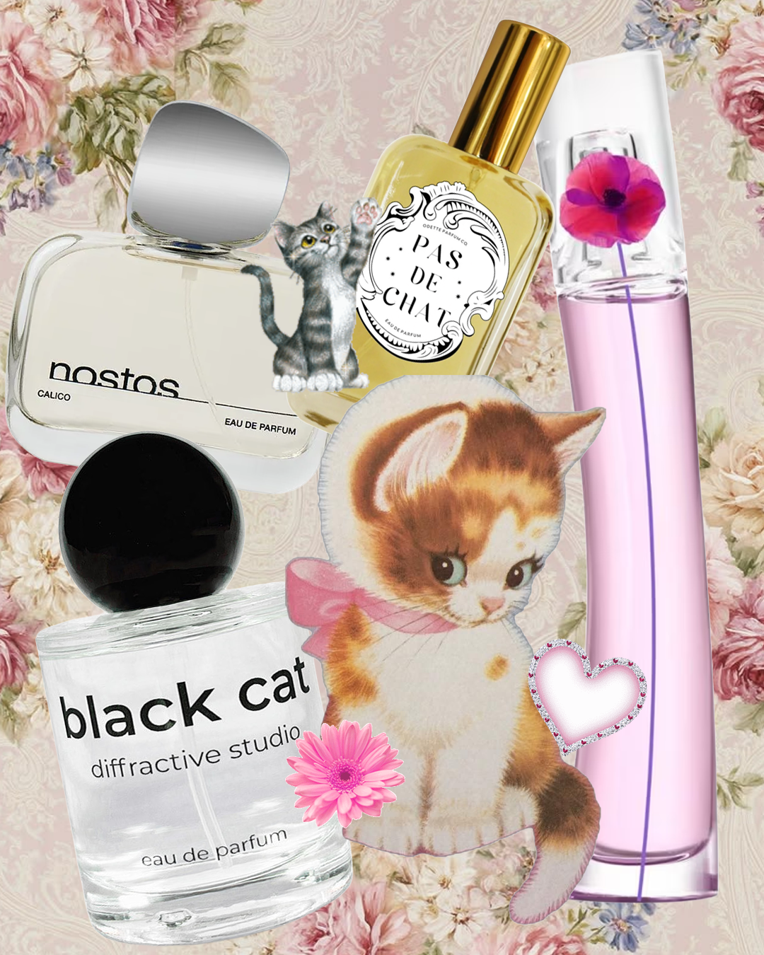 polyester zine magazine polyesterzine polyestermagazine perfume scent nostos calico pas de chat kitten perfumes cat fur smell why do cats smell so good