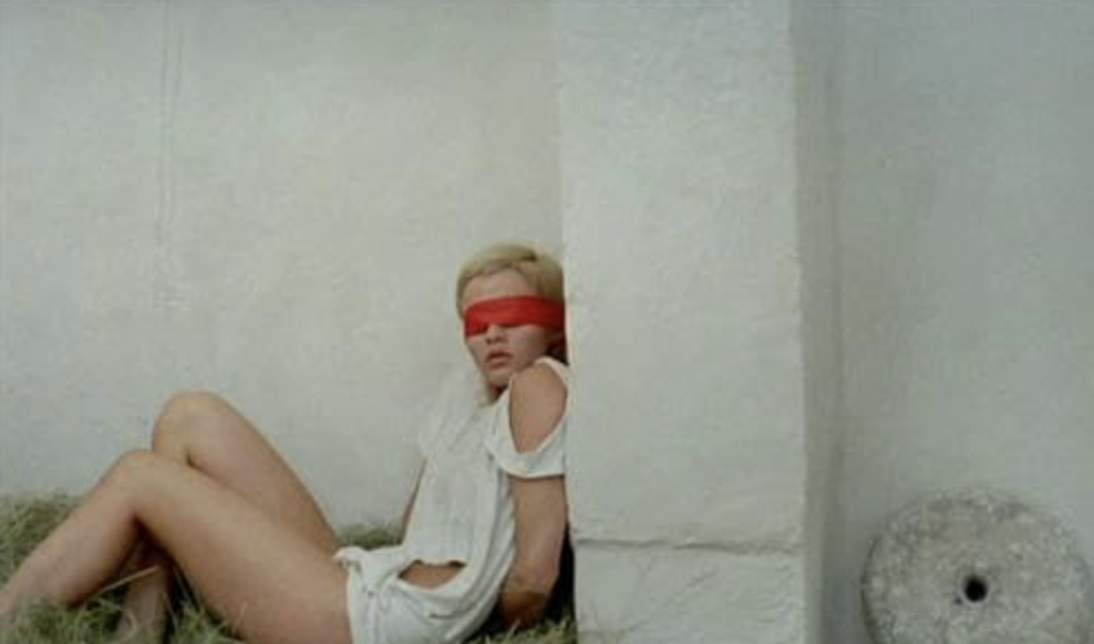 polyesterzine polyestermagazine polyester magazine zine katy cutbirth horror dracula 120 days of sodom salo the hunger