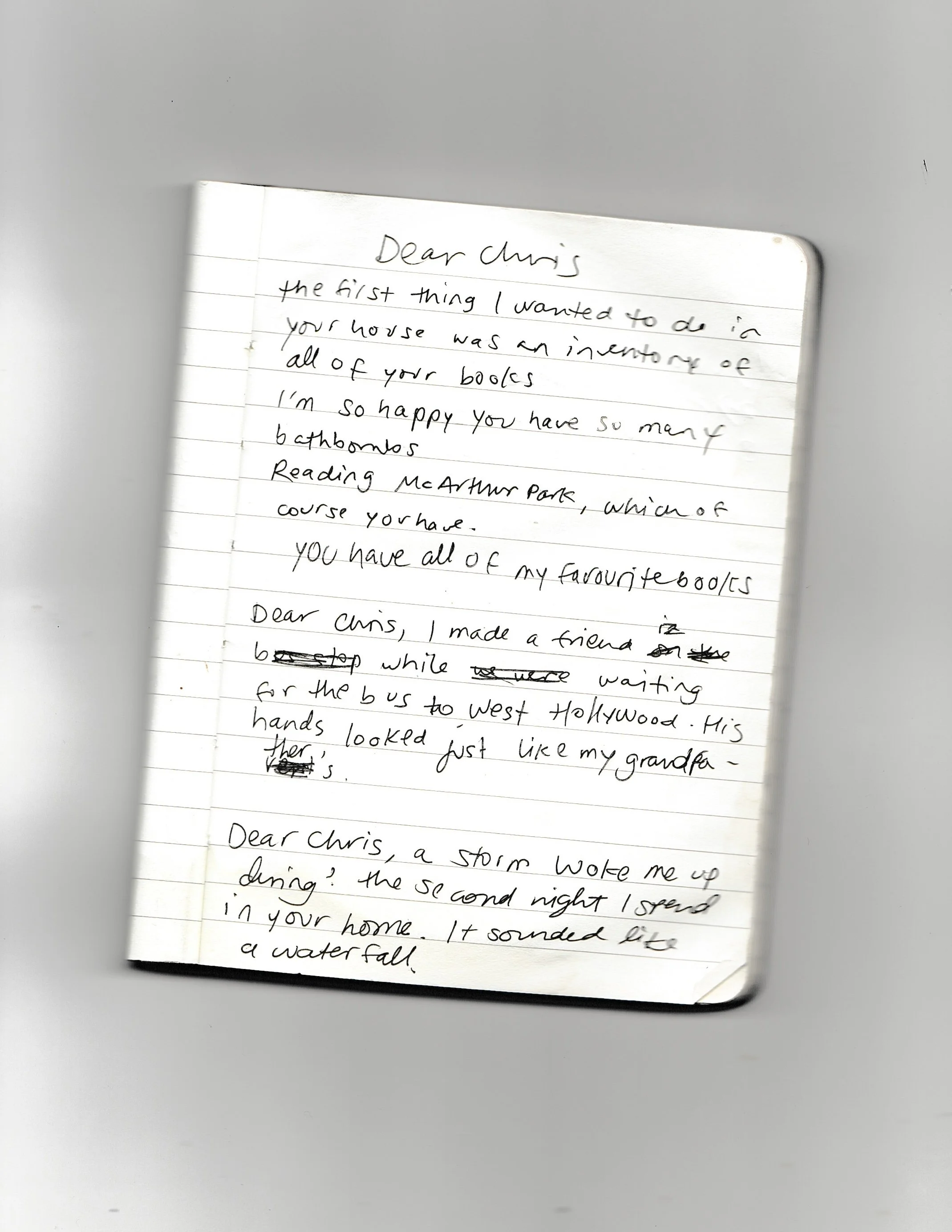 Chris Kraus letter i love dick literature semiotext(e) los angeles Lia Quezada polyesterzine polyestermagazine magazine zine