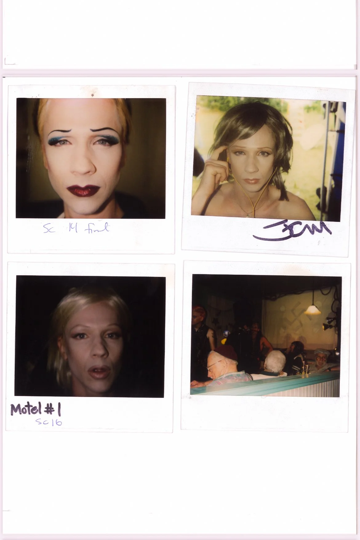 hedwig and the angry inch john cameron mitchell mike potter charlie h stern film musical iconic cult movie polyesterzine polyester zine magazine