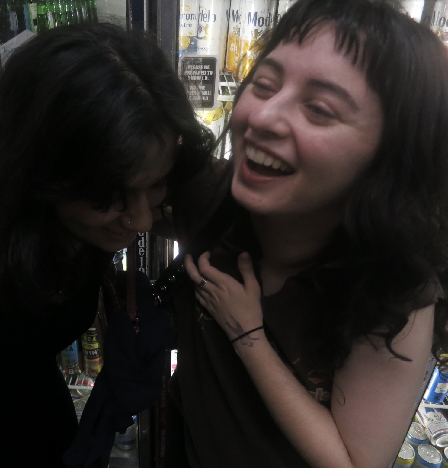 polyester zine guide the internet is dead brittany deitch sameera rachakonda podcast how to guide