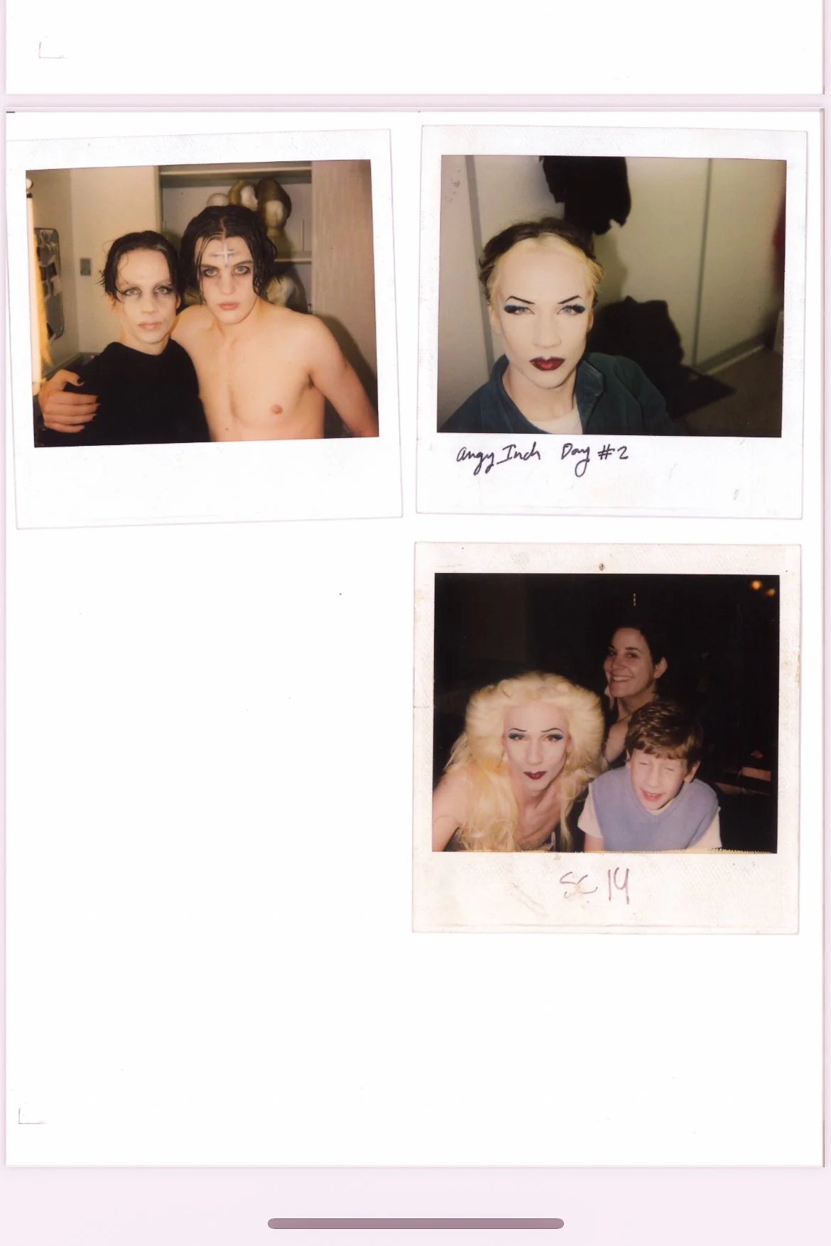 hedwig and the angry inch john cameron mitchell mike potter charlie h stern film musical iconic cult movie polyesterzine polyester zine magazine