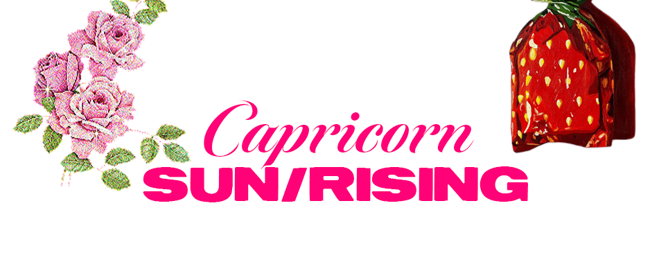 Marachino horoscope polyester magazine polyesterzine february 2026 horoscope Aries Taurus Gemini Cancer Leo Virgo Libra Scorpio Sagittarius Capricorn Aquarius Pisces