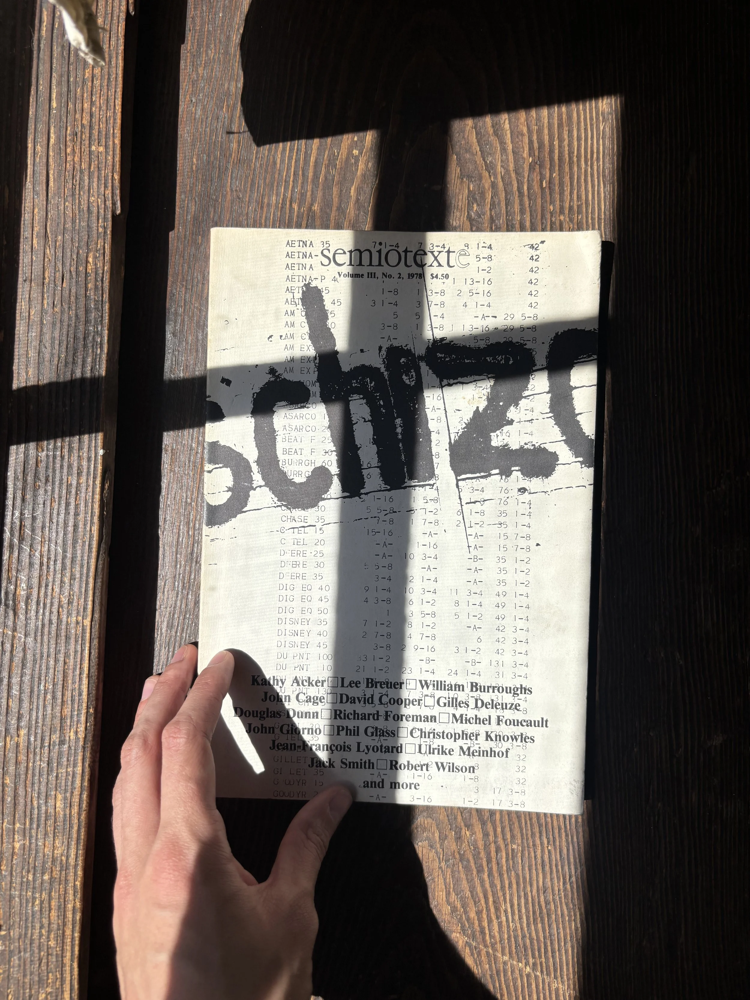 Chris Kraus letter i love dick literature semiotext(e) los angeles Lia Quezada polyesterzine polyestermagazine magazine zine