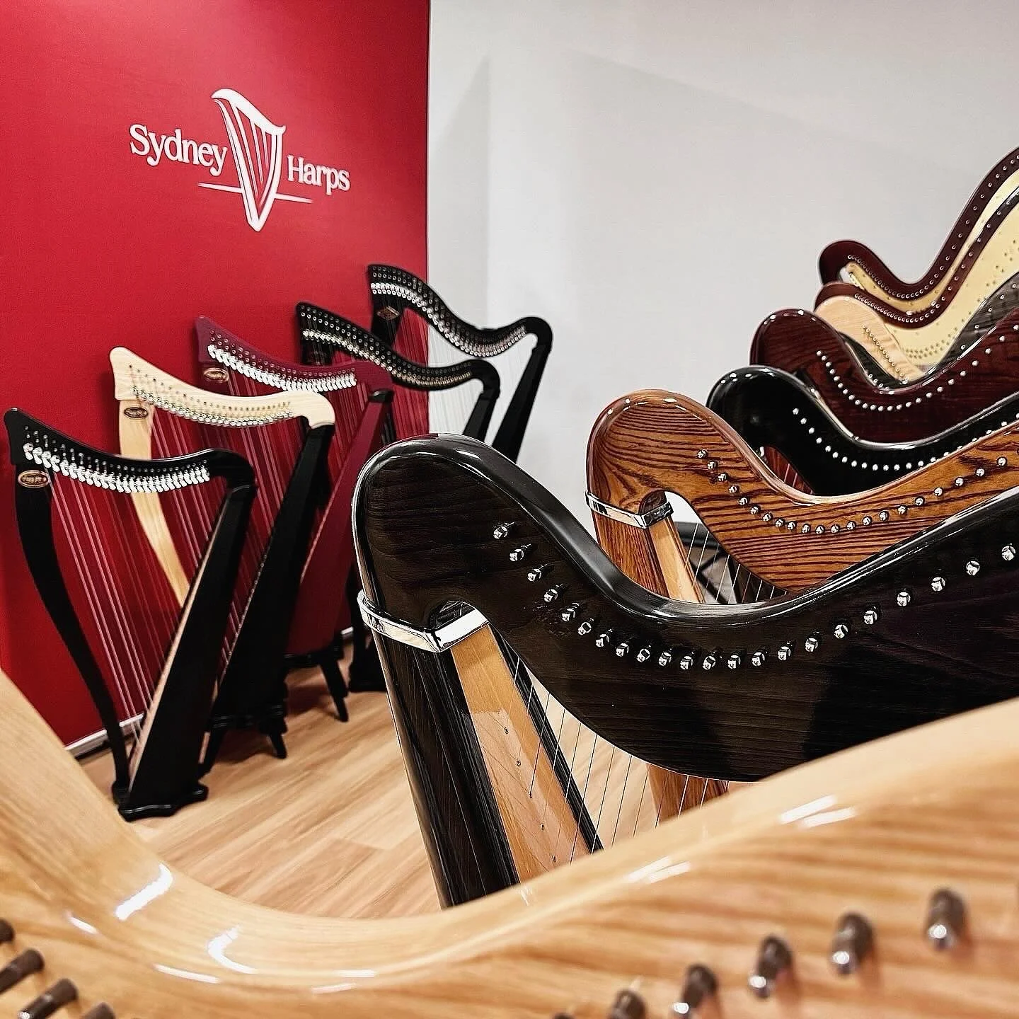 We offer harp rentals for 🎶 Lever harps (22-40 strings) and 🎶 Pedal harps (40-47 strings)

Customise your rental package with ✨ Replacement strings✨ Service and maintenance✨ Harp tuning help ✨ Option to swap harps ✨ Flexible billing✨ Pickup and del