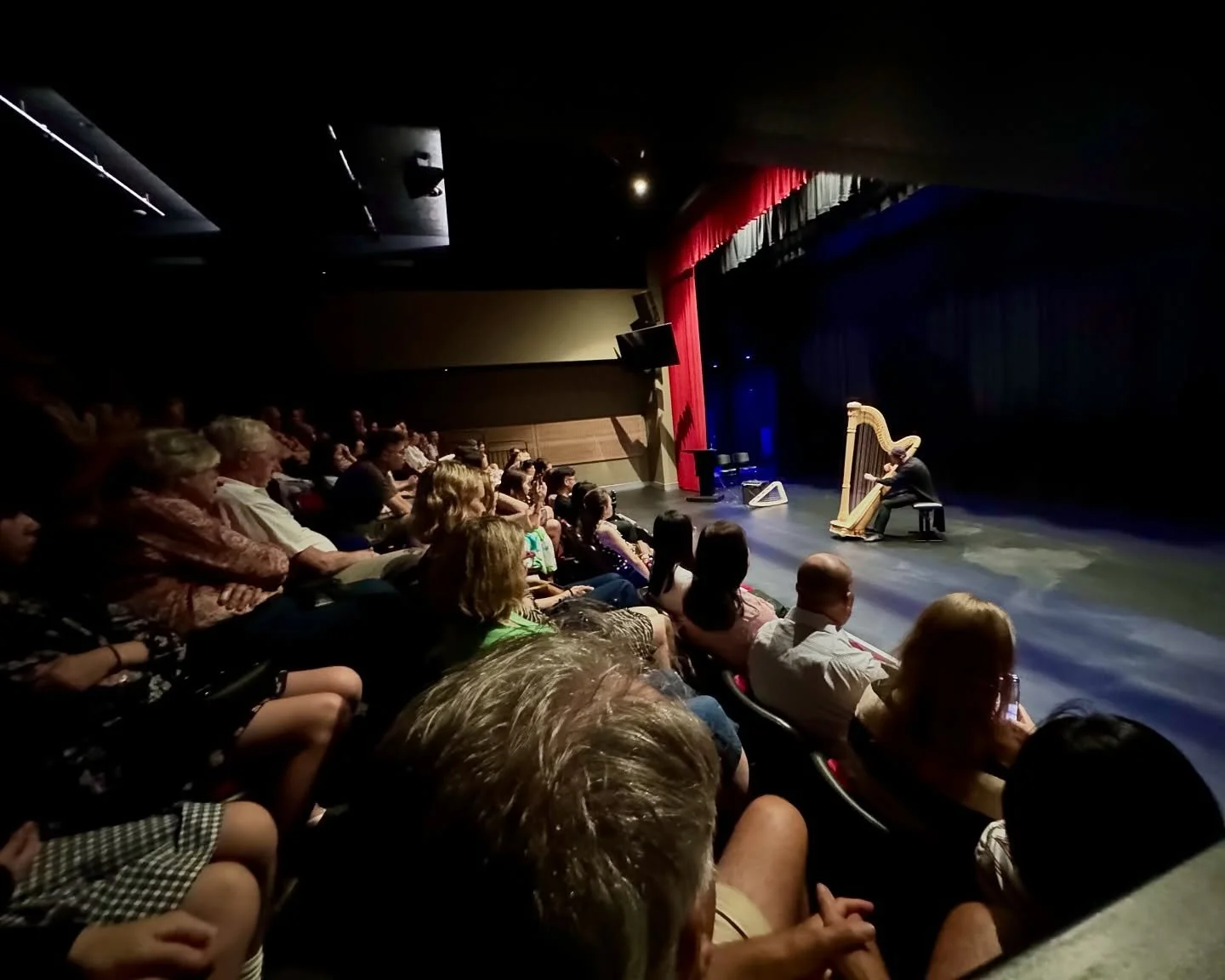 Thank you @carterharpsaustralia for bringing Alexander @boldachev to Australia! 🇦🇺🎶 We were delighted to support his Sydney performance. It&rsquo;s wonderful to see the growing harp community come together for these events! 🎵✨

#musictour #livemu