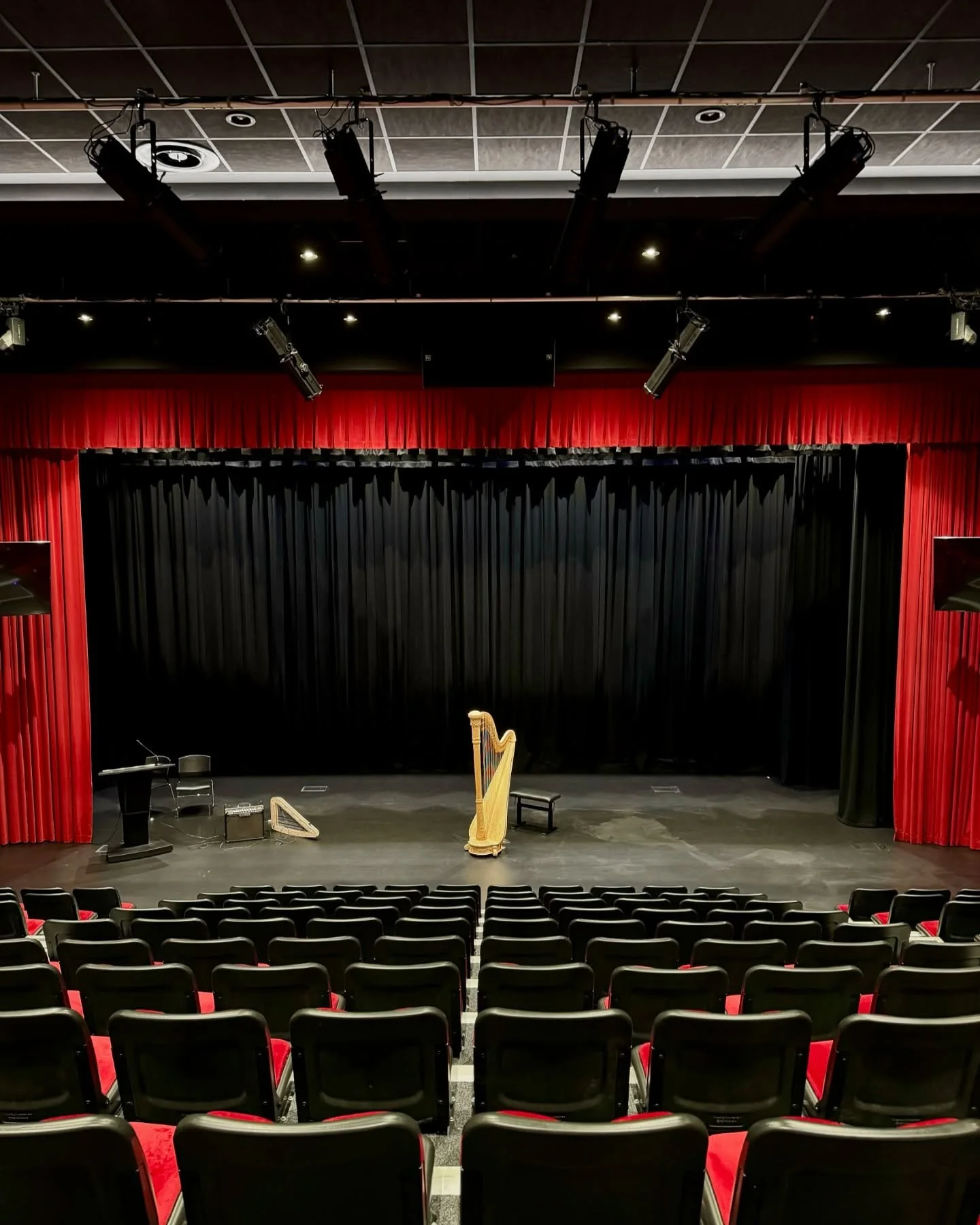 Harp taking centre stage &mdash; one of our favourite sights! ✨ Last month in Sydney @boldachev played on this magnificent Salvi Iris 🎶💕

@salviharpsofficial #SalviHarps #Salvi #SalviIris #SydneyHarps #SalviHarp #HarpOnStage #ConcertHarp #HarpPerfo
