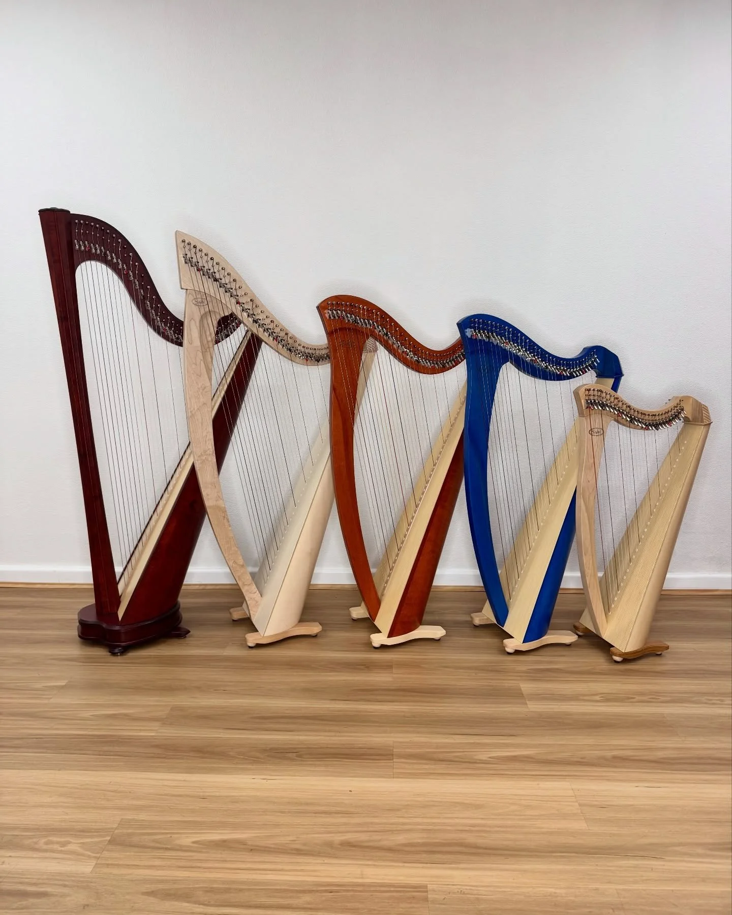 Salvi Harps &ndash; Hermes, Titan, Gaia, Mia, Juno

Different harps are designed for specific string materials &mdash; nylon, gut, silkgut, biocarbon, and wire all have their own feel and sound.

@salviharpsofficial @lyonhealyharps #salvi #leverharp 