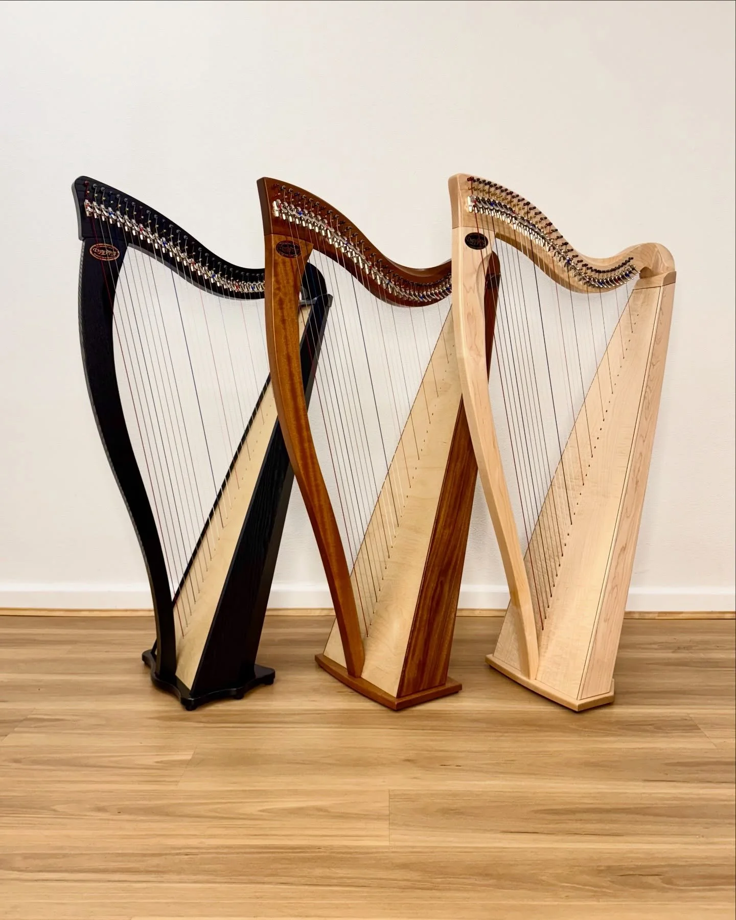 Dusty Strings makes three lines of harps:

Ravenna family &mdash; including the Ravenna 26 and 34 (left), Serrana, and Boulevard. These feature a laminated Finland birch soundbox and soundboard, with variations in string materials, string tension, an
