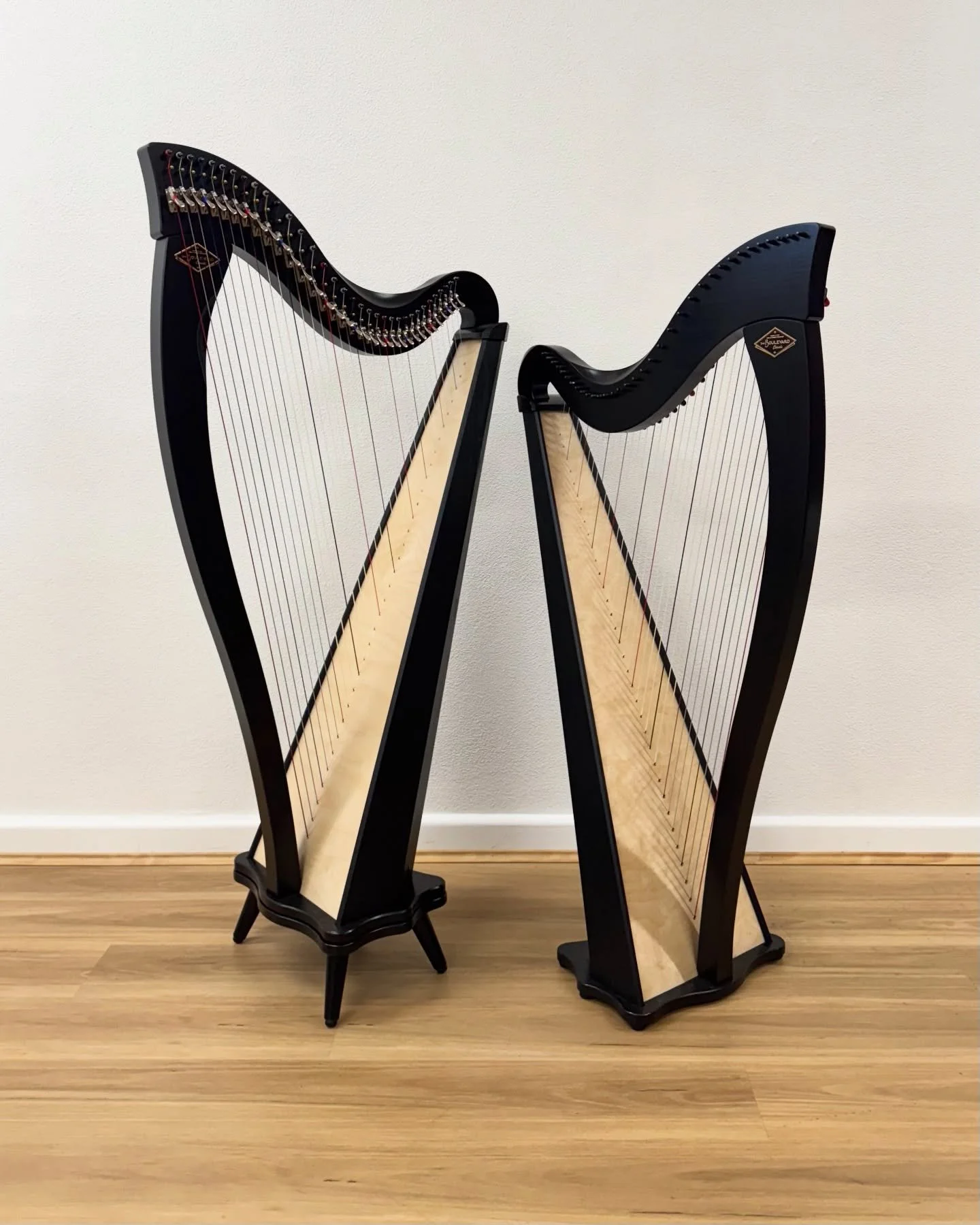 Dusty Strings Boulevard 34

A 34-string lever harp strung with pedal gut strings, offering a warm tone and higher string tension in a compact size.

Well suited to younger players or those looking for a smaller gut-strung instrument.

Available stand