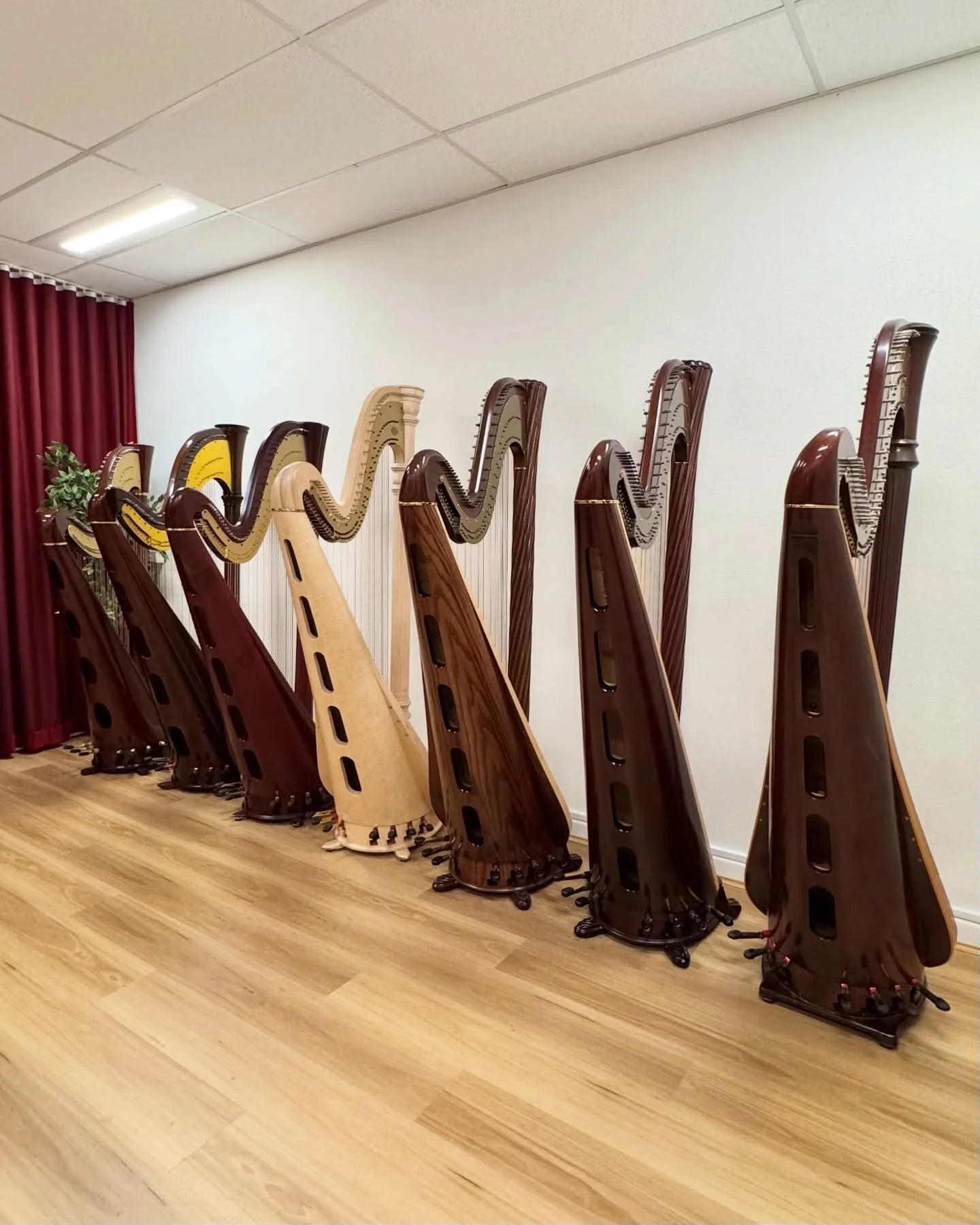 The decision to invest in a pedal harp can feel daunting. Sydney Harps is here to guide you through the process and help find an instrument suited to your needs.

Pedal harps vary in size, sound, and feel, with a wide range of designs and finishes av