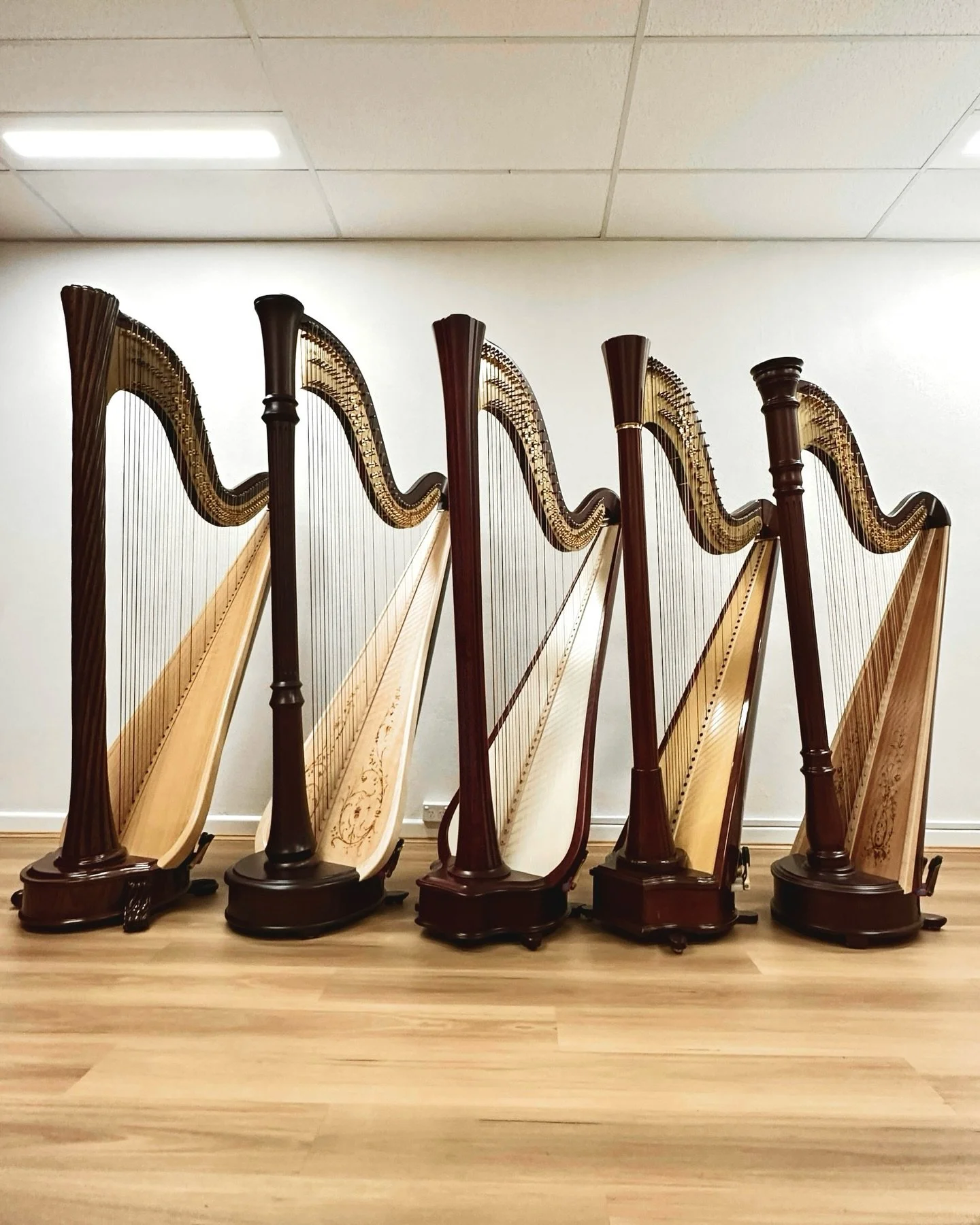 We offer pedal harps in a range of sizes to suit harpists of different heights, including young students.

Individual differences in height, arm and leg length, and overall proportions can significantly affect comfort and playing ergonomics.

Please 