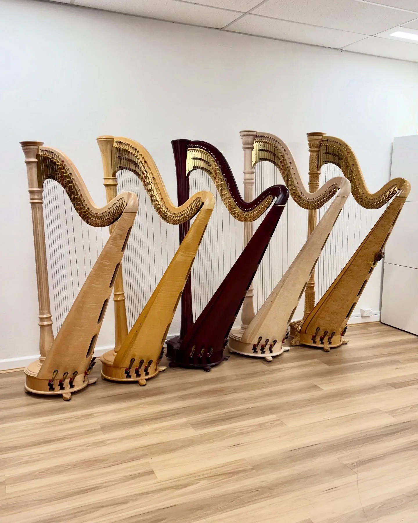 We offer consignment sales for harps of all makes and models.

If you&rsquo;re considering finding a new home for your harp, please email us to discuss the details.