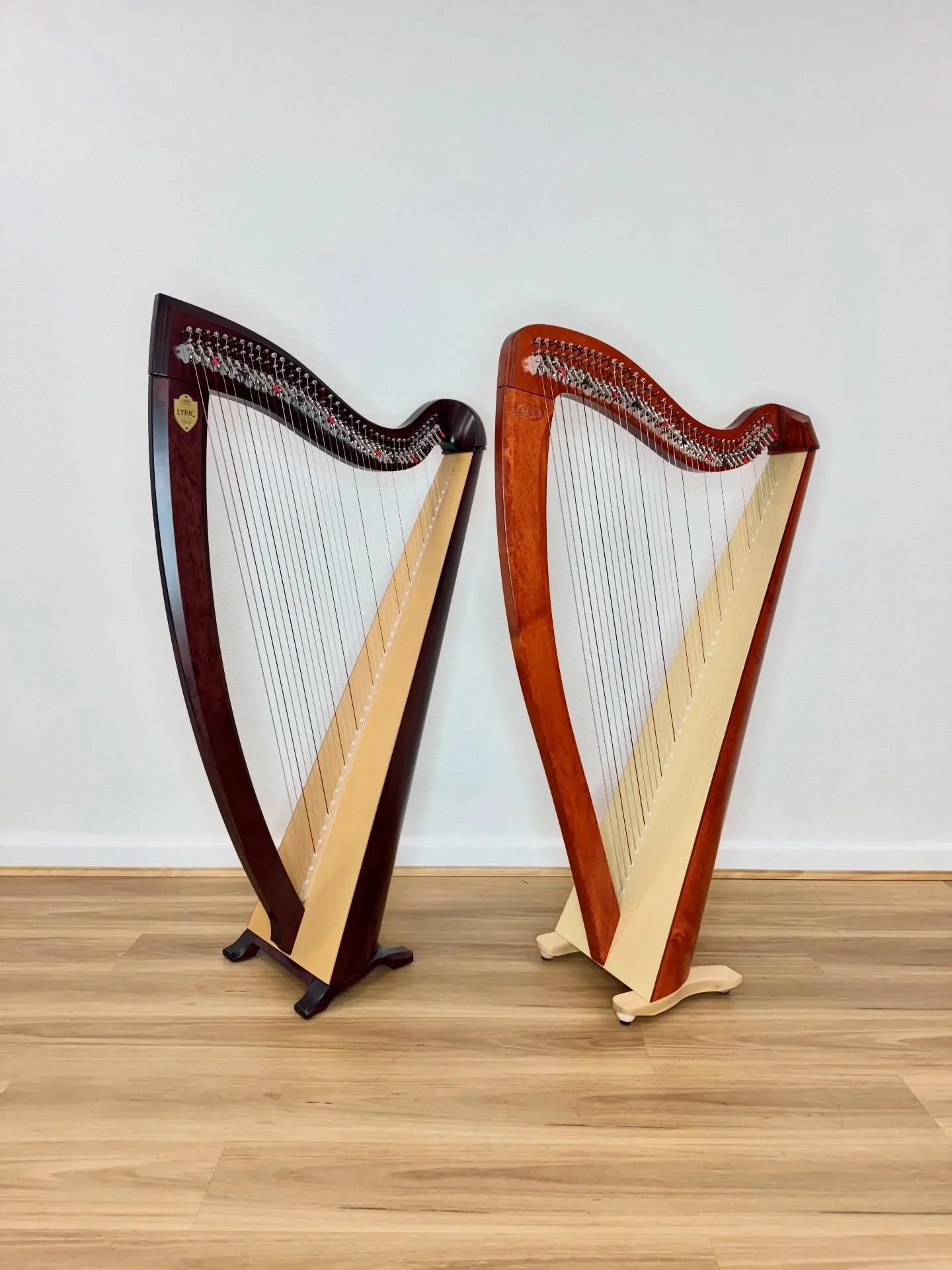 The Lyon &amp; Healy Lyric (left) and Salvi T2 (right) are the newest 38-string lever harp models released by @lyonhealyharps and @salviharpsofficial. 

Lyric uses SilkGut strings, and T2 uses BioCarbon strings. Both harps feature SilkGut Copper and 